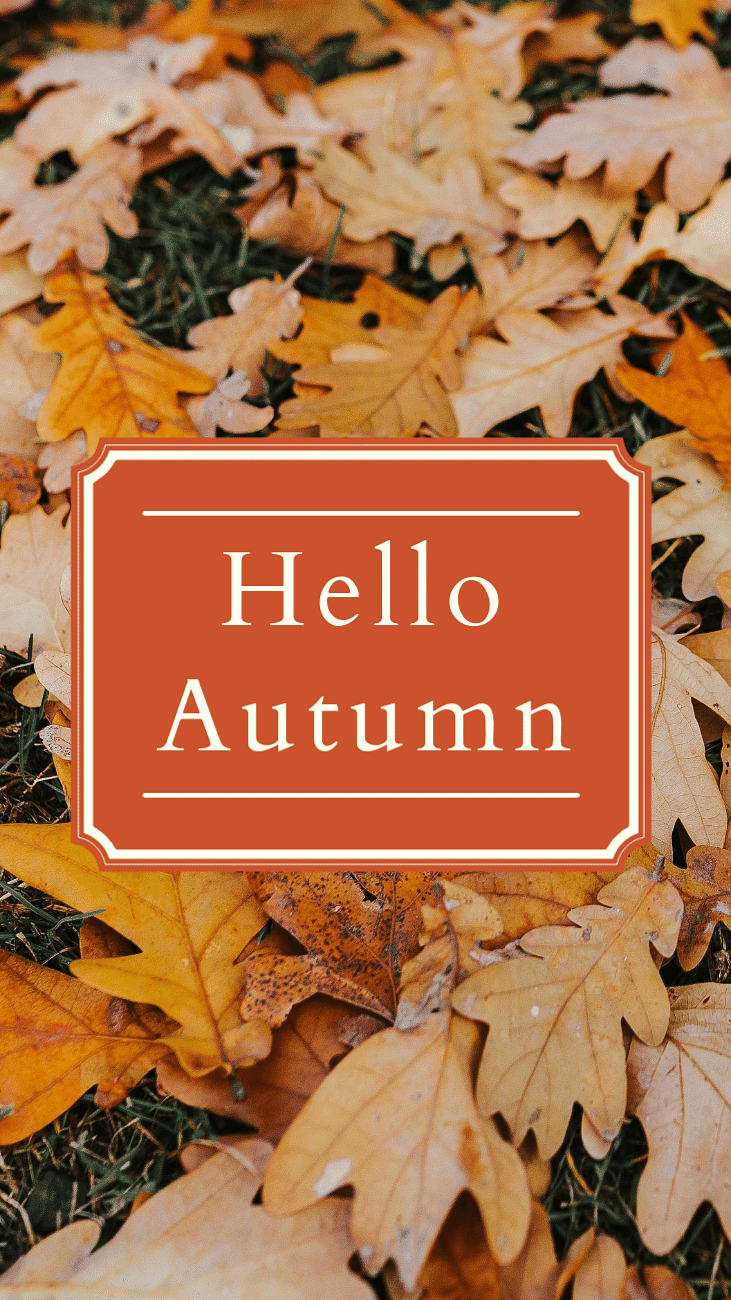 Hello Autumn Wallpapers 4k Hd Hello Autumn Backgrounds On Wallpaperbat