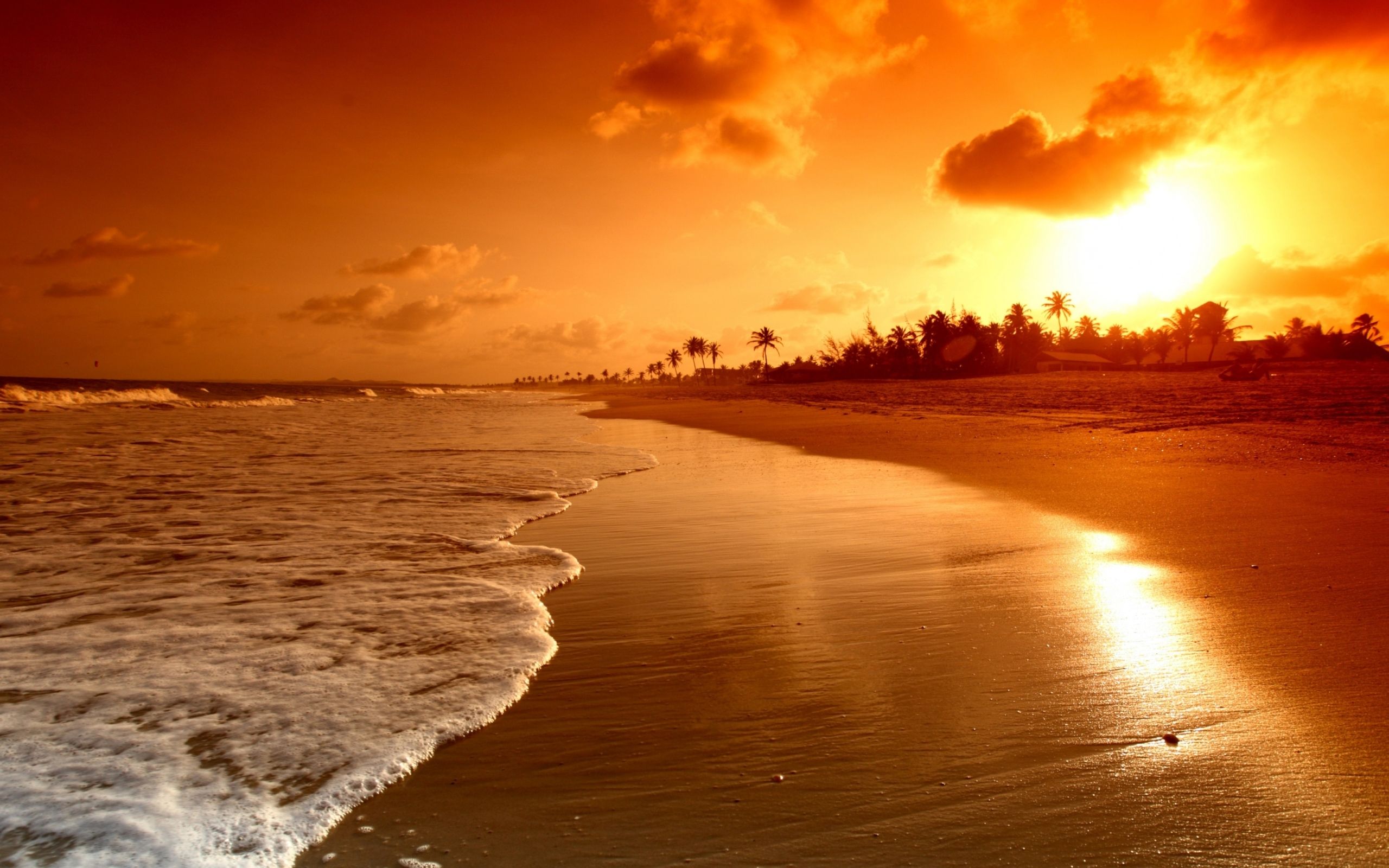 Beach Sunrise Wallpapers 4k Hd Beach Sunrise Backgrounds On Wallpaperbat