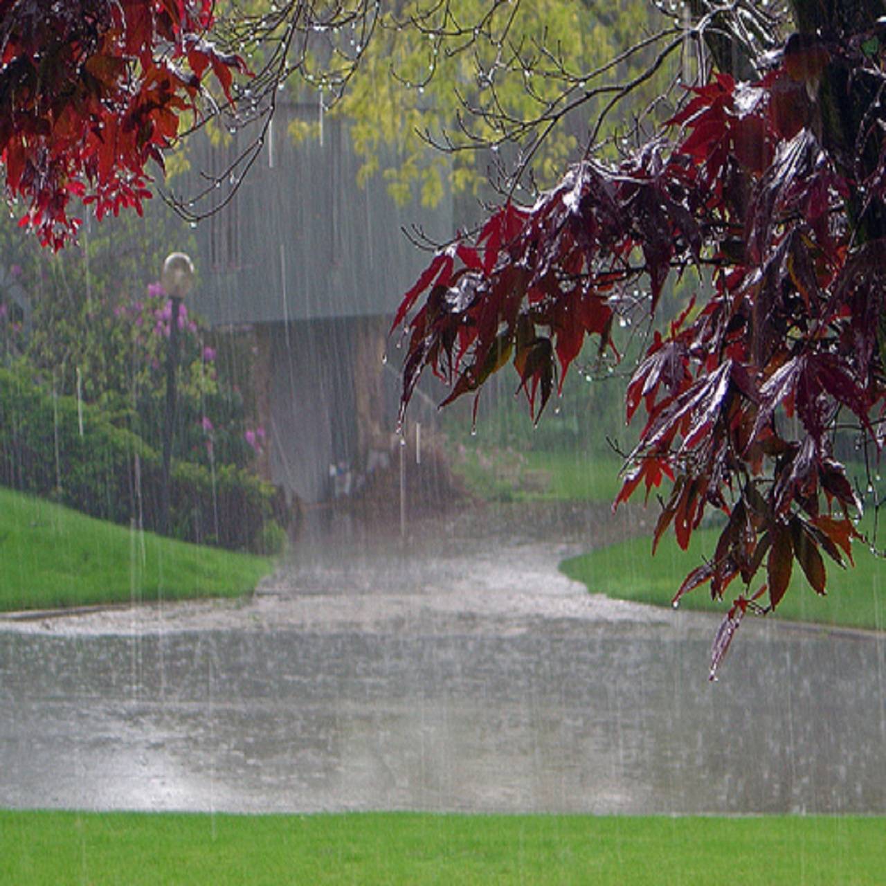 Albums 102+ Pictures Hd Wallpaper Rain Beautiful Nature Pictures Updated