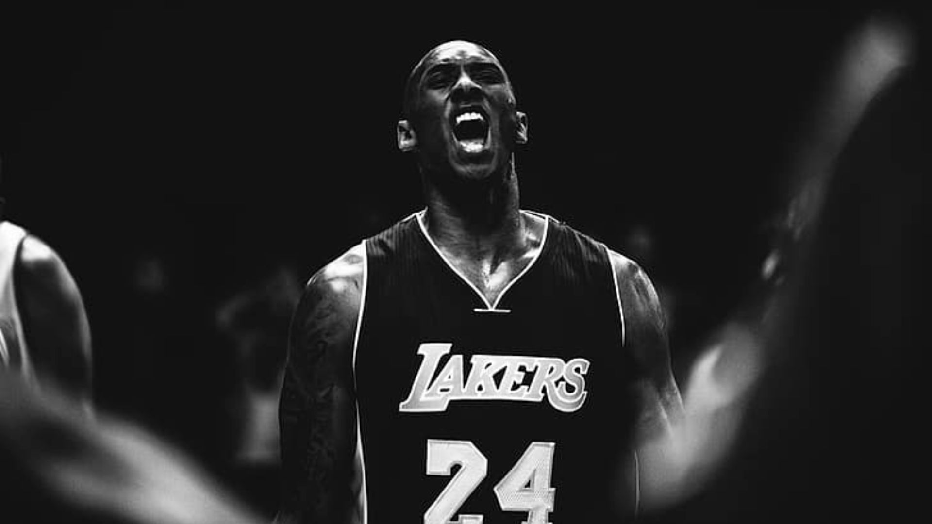 Kobe Bryant PC Wallpapers - 4k, HD Kobe Bryant PC Backgrounds on ...