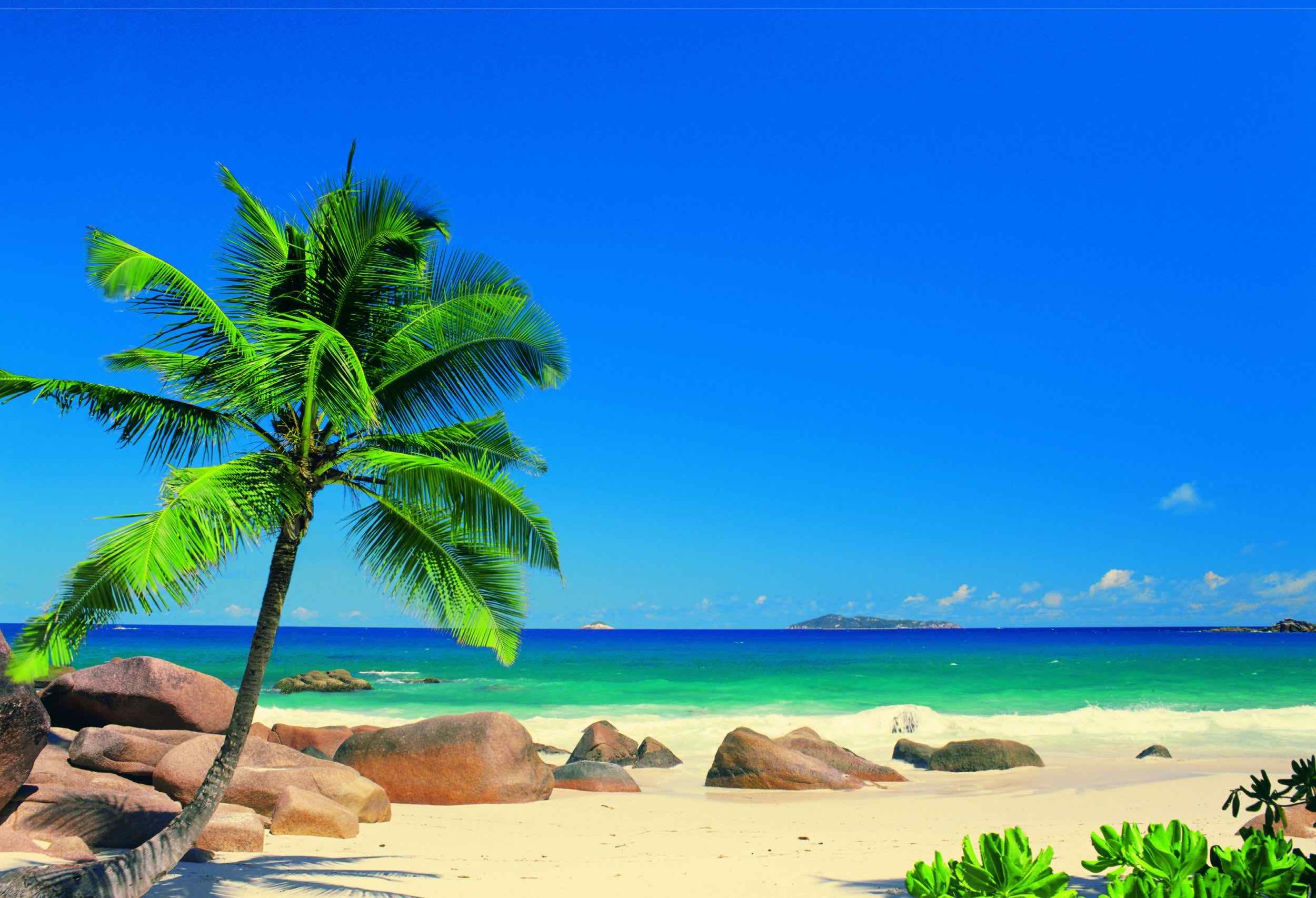 Caribbean Desktop Wallpapers - 4k, HD Caribbean Desktop Backgrounds on ...
