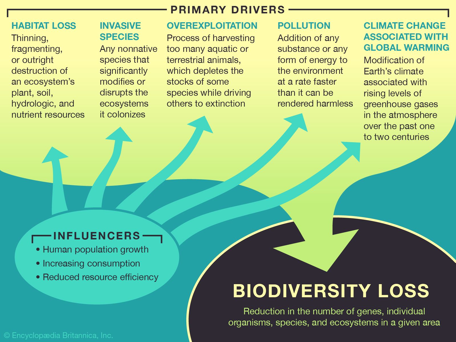 Environmental Biology Wallpapers - 4k, HD Environmental Biology ...