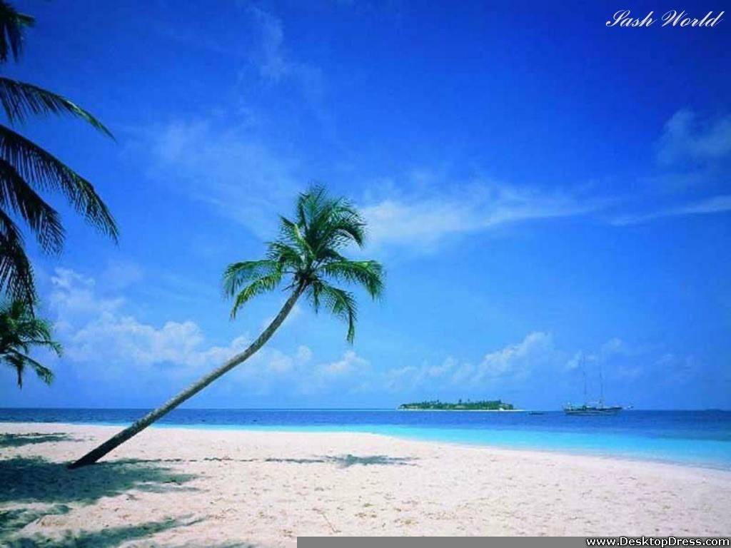 Blue Nature Wallpapers - 4k, HD Blue Nature Backgrounds on WallpaperBat
