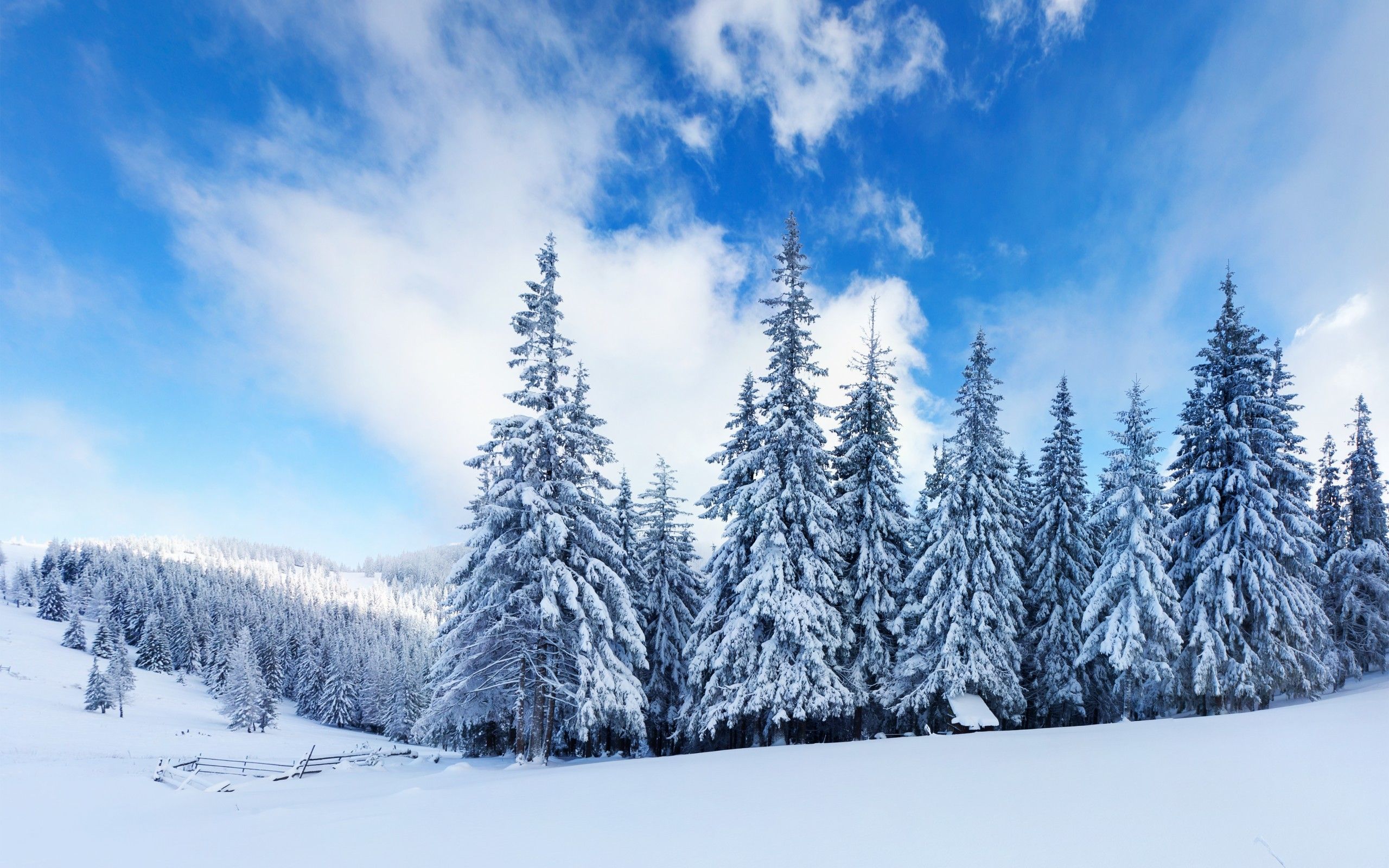 Snowy Landscape Wallpapers - 4k, HD Snowy Landscape Backgrounds on ...