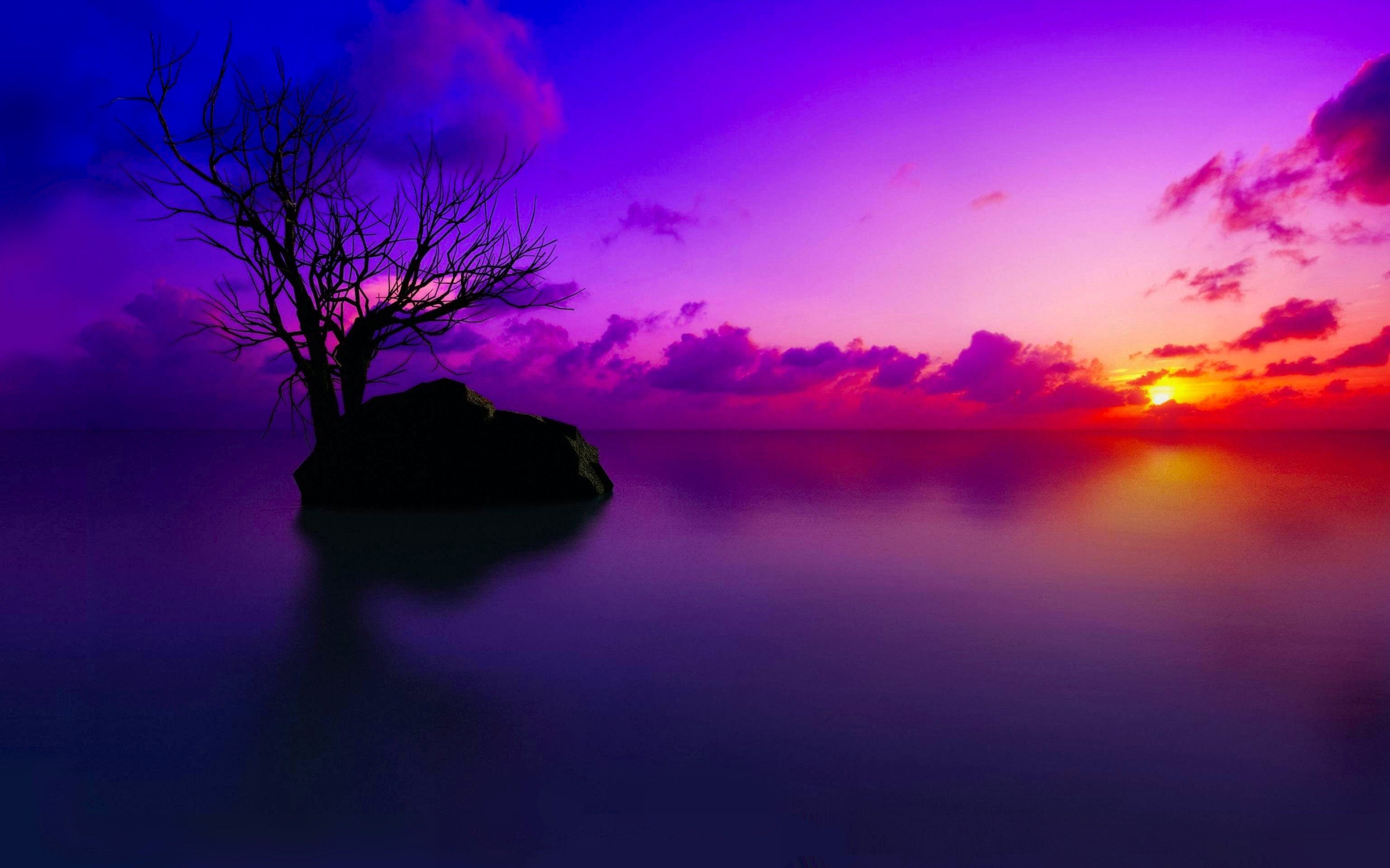 3072x1920 Free download 1129 Purple HD Wallpapers Background Images ... Wallpaper