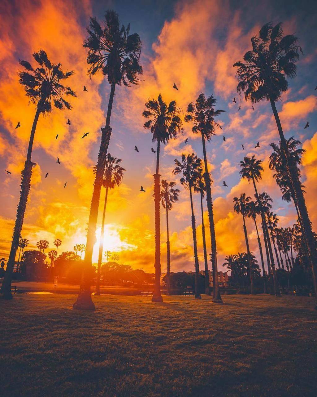 California Wallpapers - 4k, HD California Backgrounds on WallpaperBat