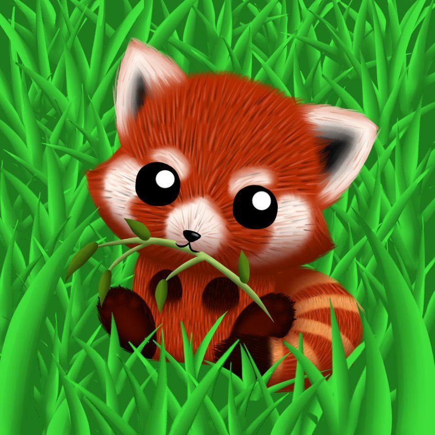 894x894 Red Panda Cute Cartoon Wallpaper - Top Free Red Panda Cute on WallpaperBat