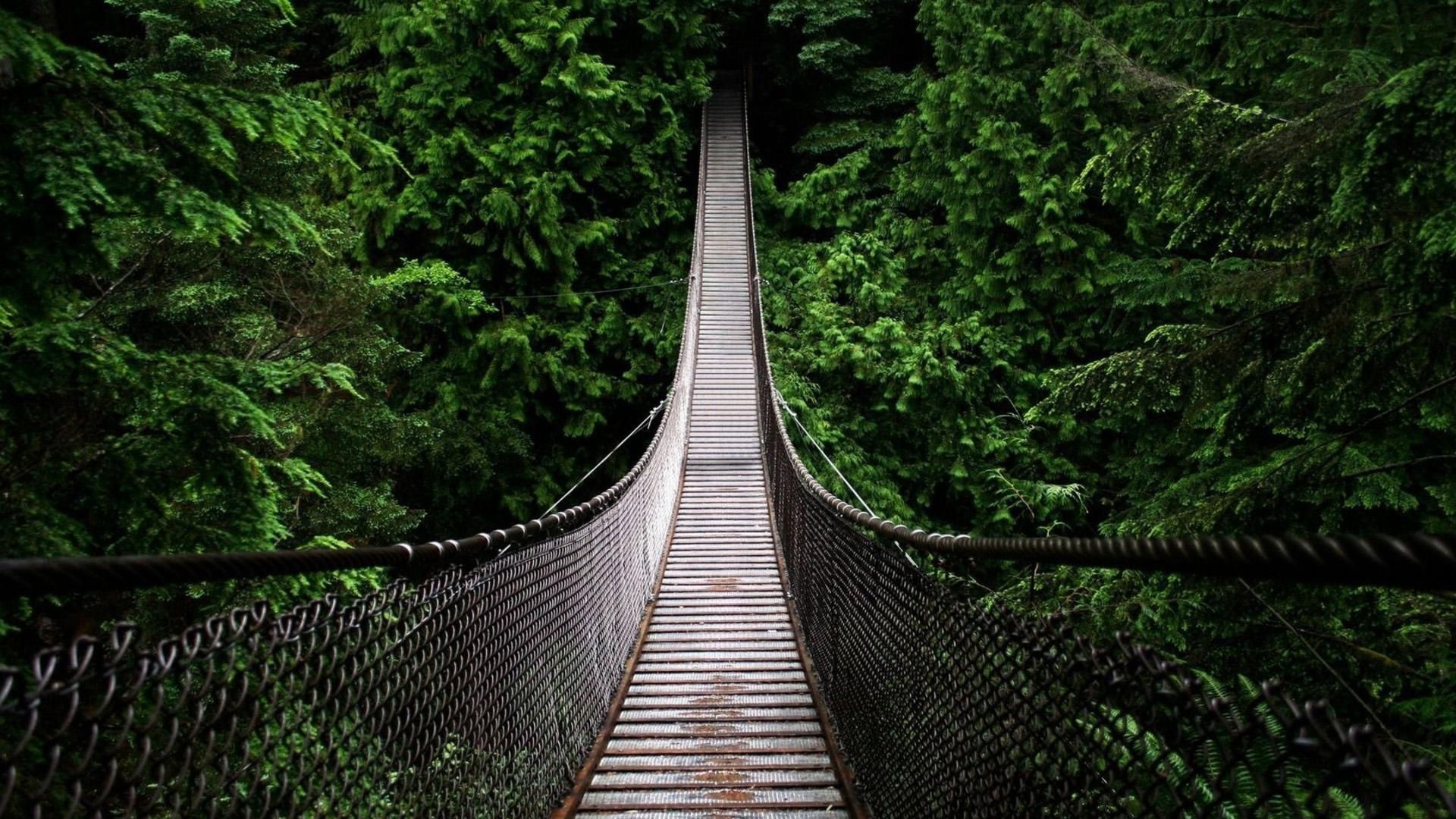 1920x1080 1080p HD Image Nature | Bridge wallpaper, Forest wallpaper, Jungle ... Wallpaper