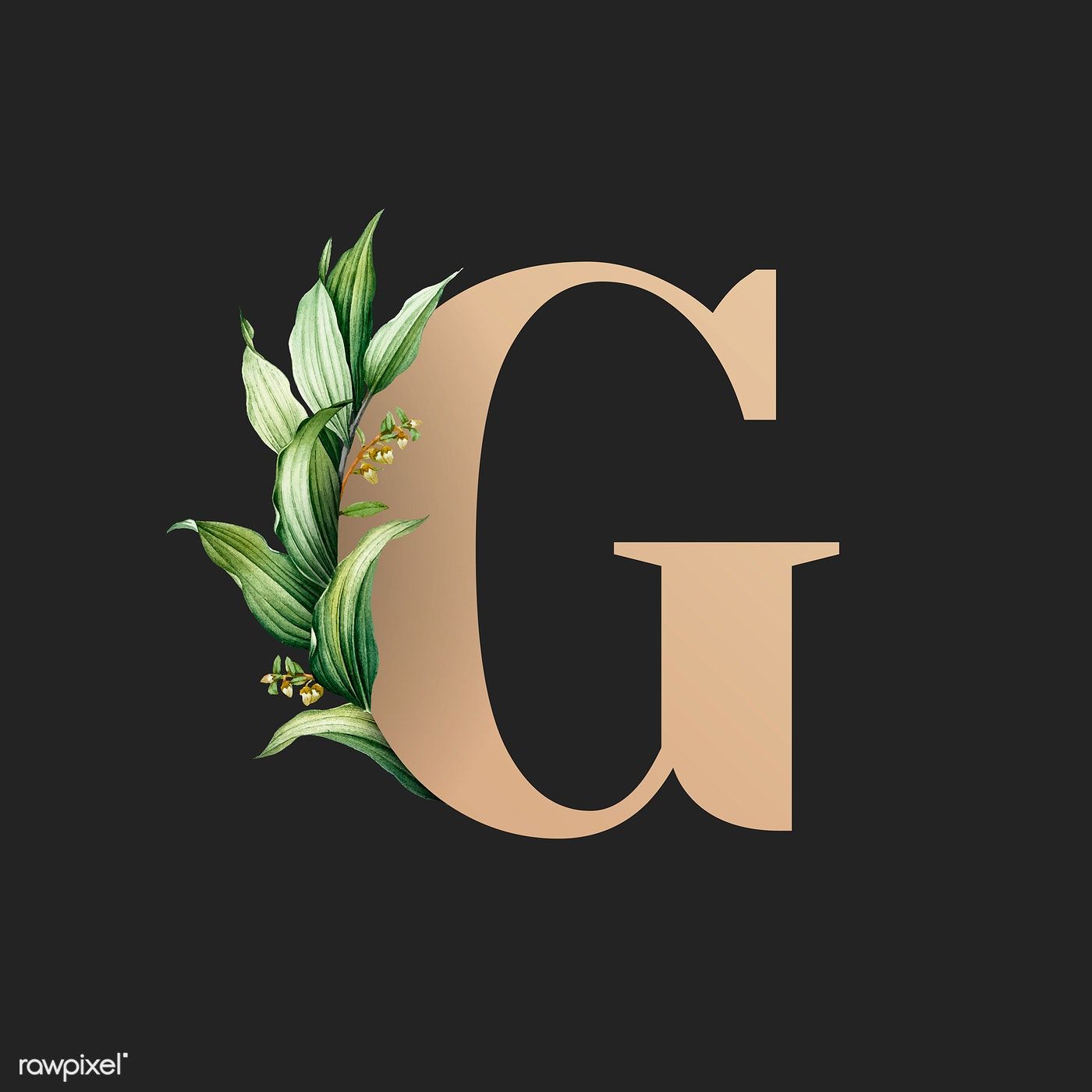 Letter G Wallpapers - 4k, HD Letter G Backgrounds on WallpaperBat