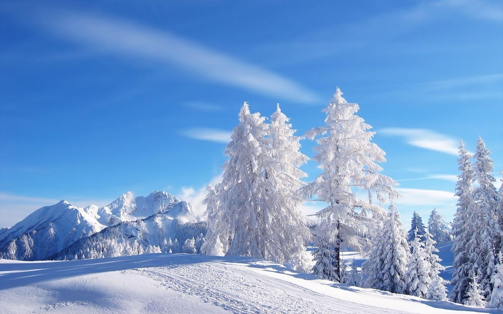 1920x1200 Winter Wonderland Wallpapers - Top Free Winter Wonderland ... Wallpaper