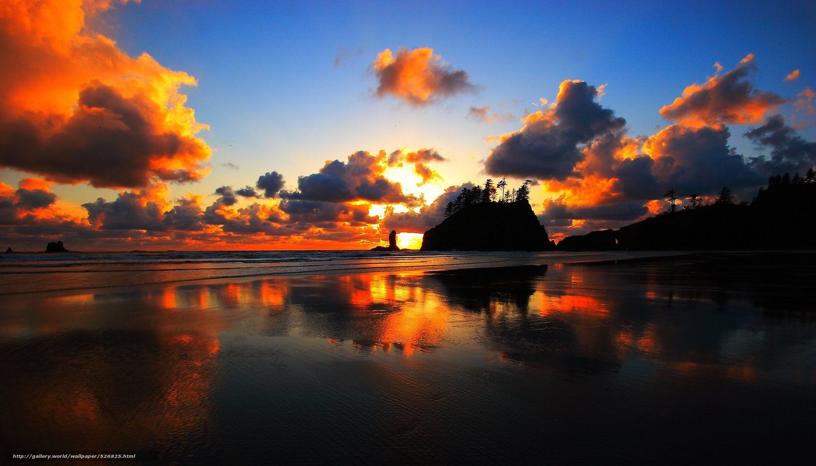 1600x914 Download wallpaper sunset, Beach near La Push, Washington free on WallpaperBat