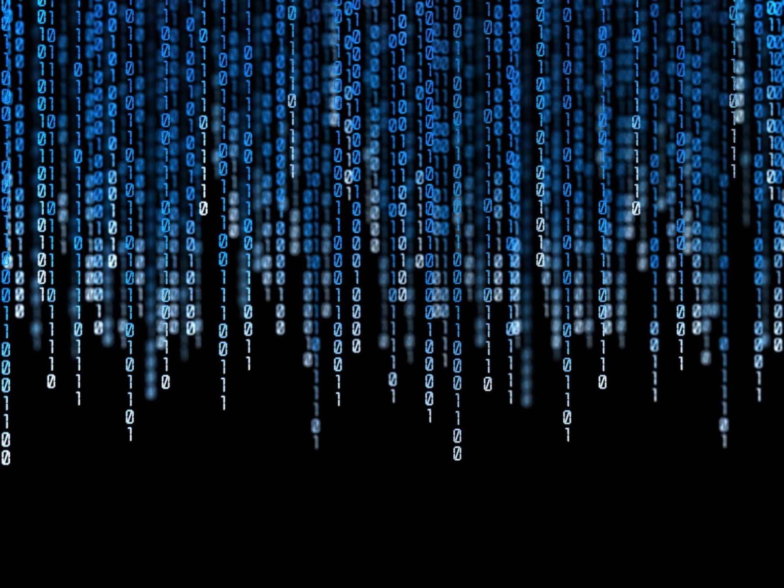 Computer Programmer Wallpapers - 4k, HD Computer Programmer Backgrounds ...