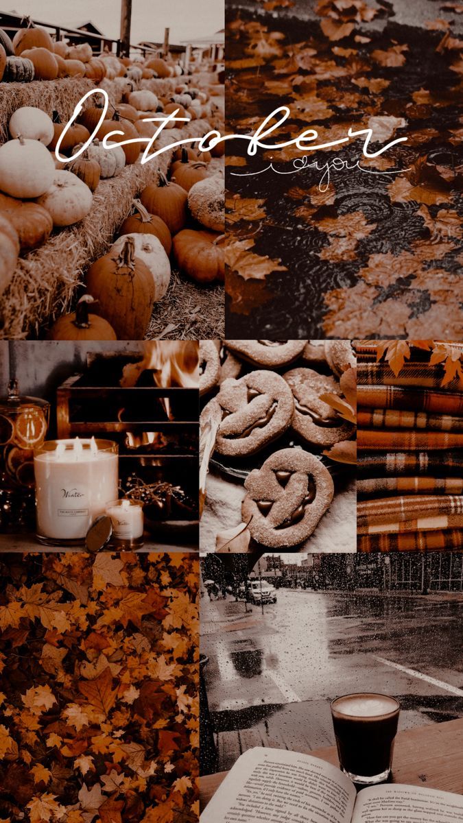 Autumn Collage Wallpapers - 4k, HD Autumn Collage Backgrounds on ...