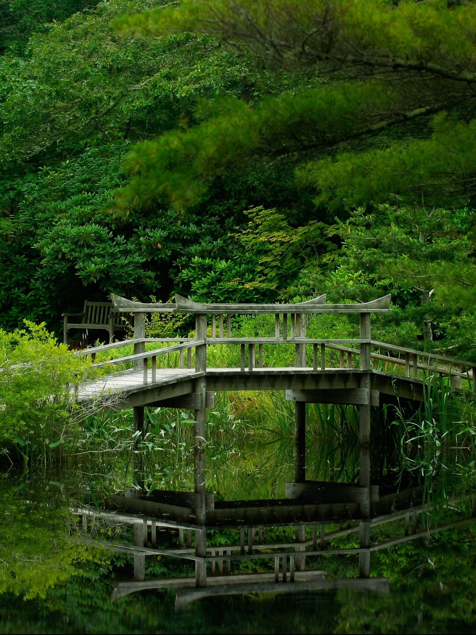 1536x2048 Free download lake forest bridge nature garden reflection ... Wallpaper