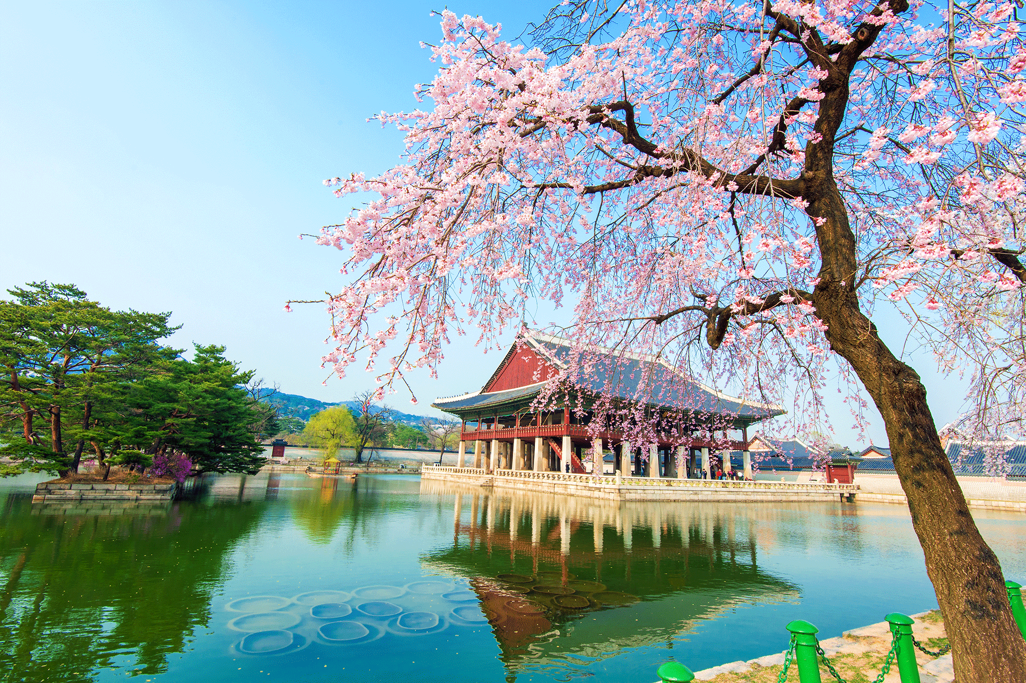 South Korean Landscape Wallpapers - 4k, HD South Korean Landscape