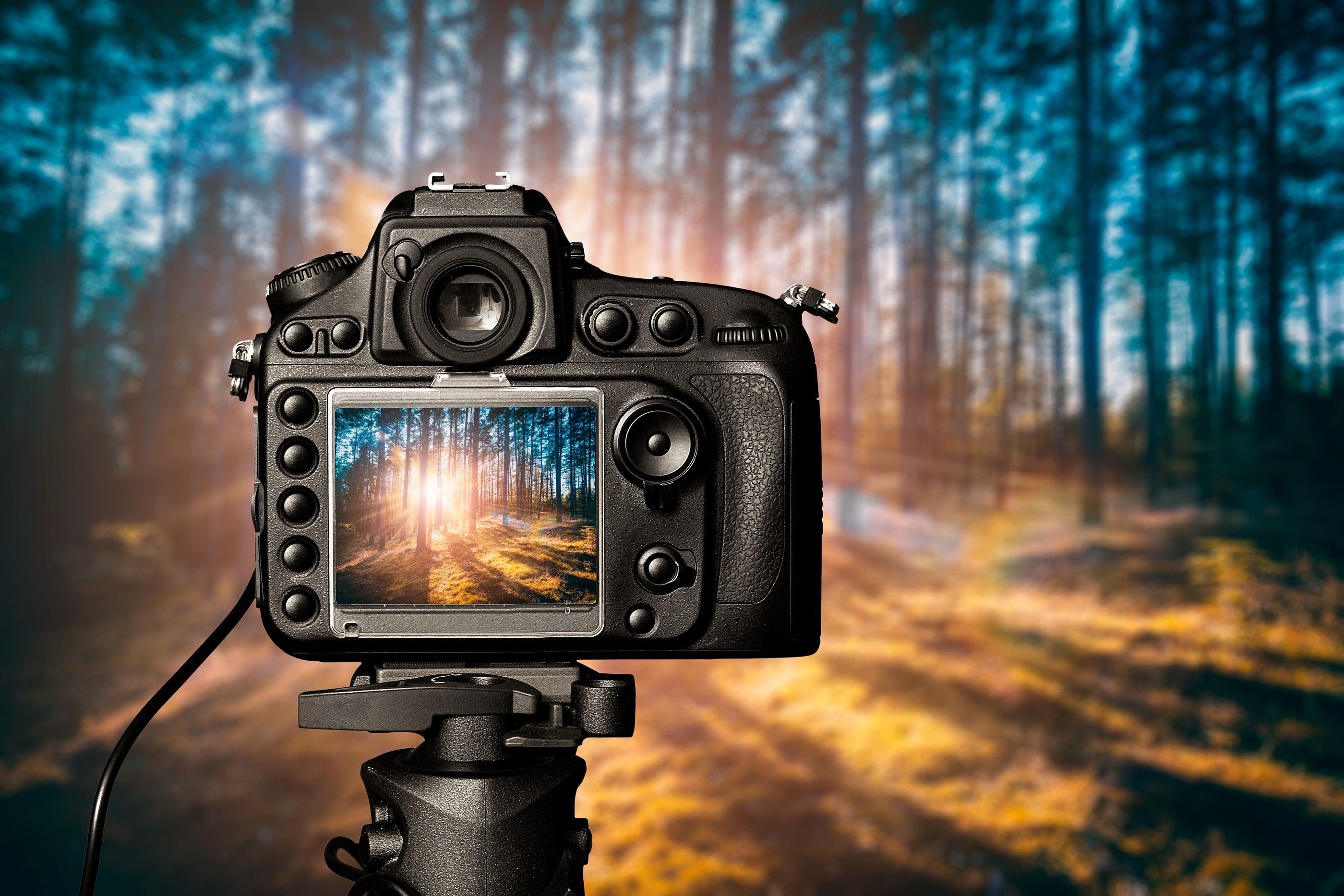 Съемка и передача цифровых изображений с фото и видеокамеры на пк