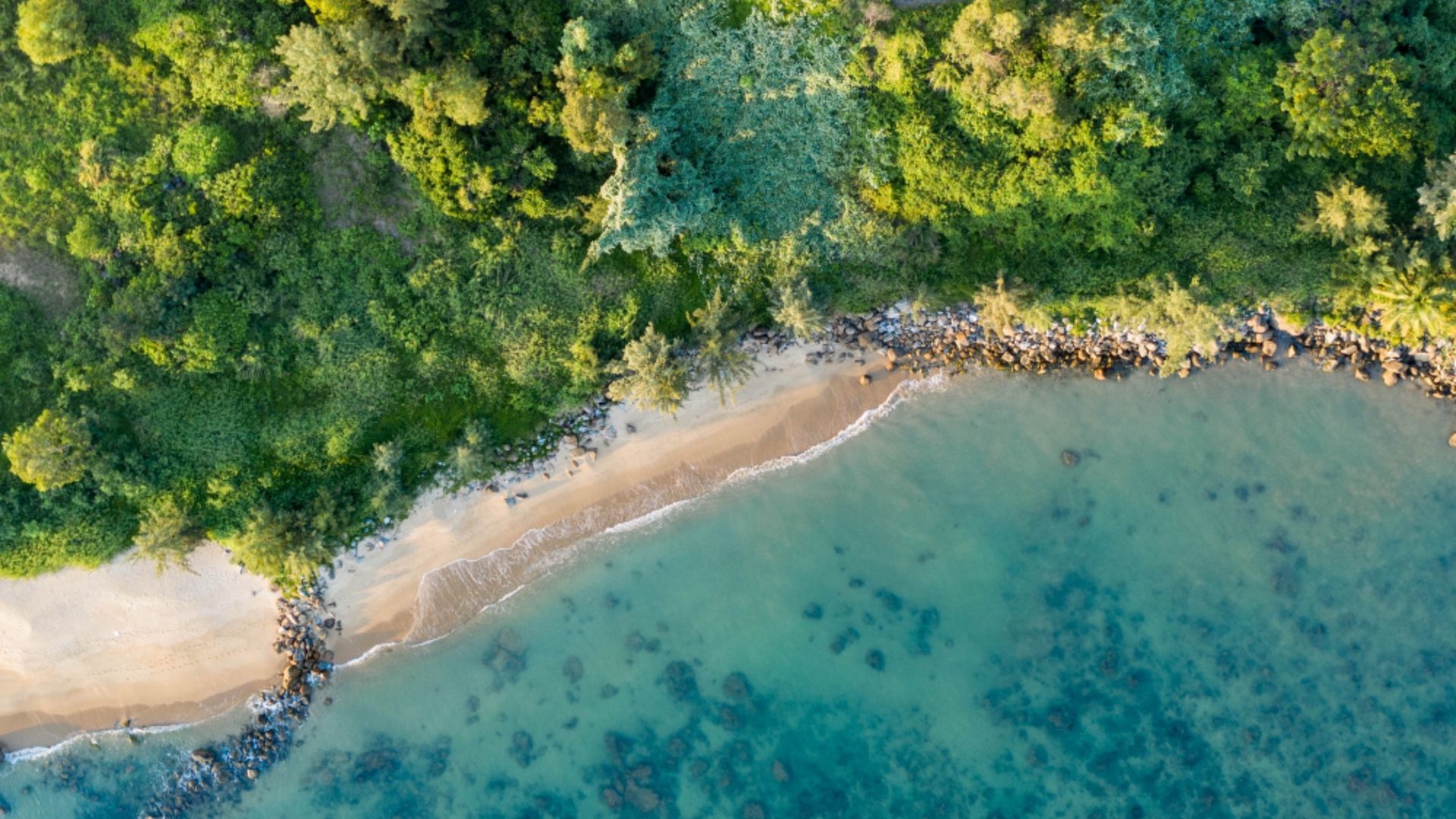 Beach View Wallpapers - 4k, HD Beach View Backgrounds on WallpaperBat