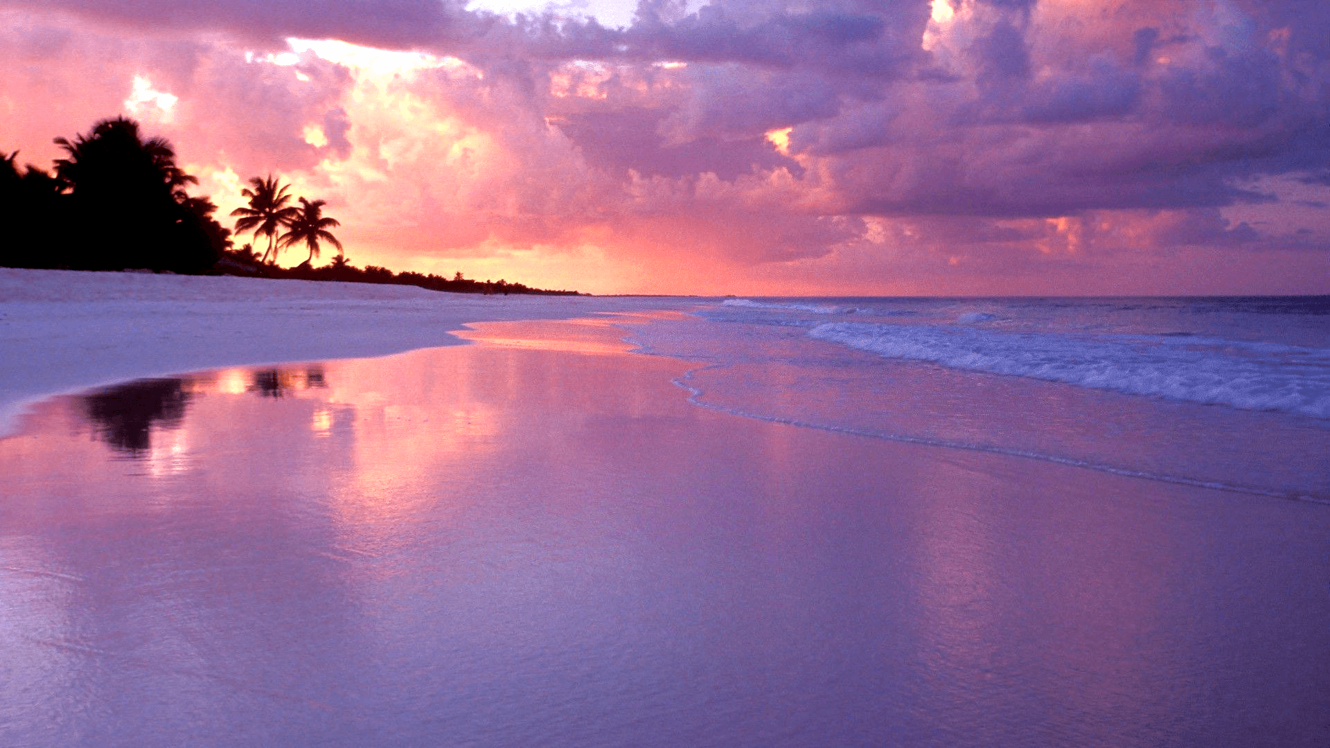 Beaches Sunset Wallpapers 4k Hd Beaches Sunset Backgrounds On