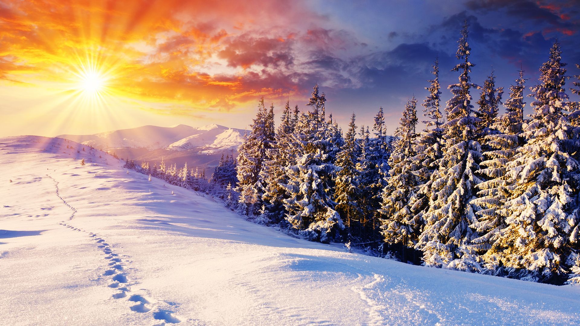 2900+ Winter HD Wallpapers and Backgrounds