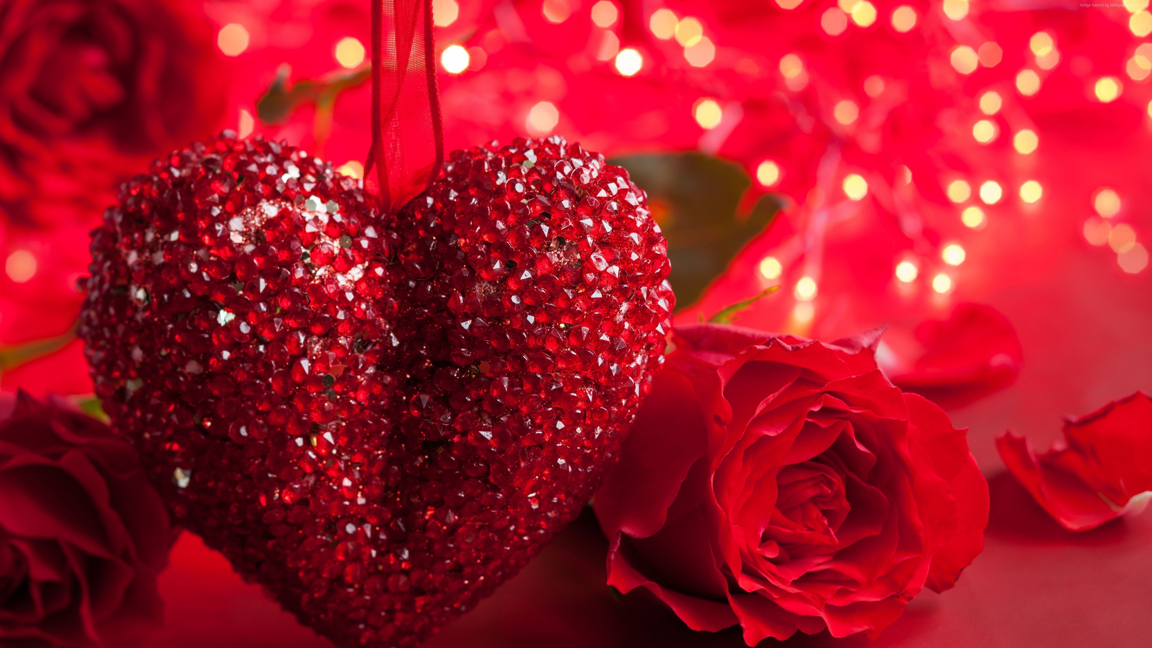 3840x2160 #Rose, #romantic, #love, #heart, #red, #romance, k on WallpaperBat