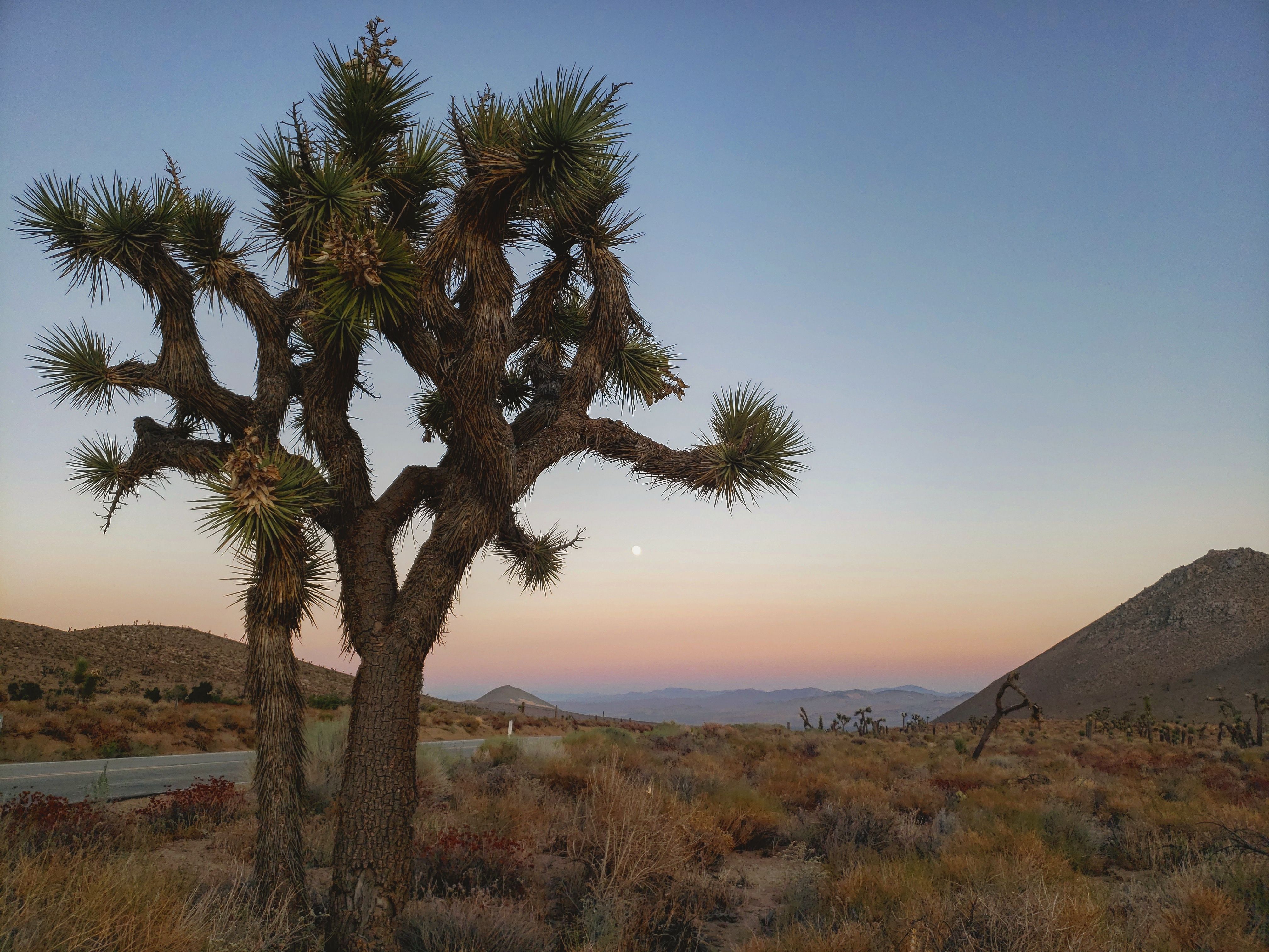 Mojave Desert Sunset Wallpapers 4k Hd Mojave Desert Sunset Backgrounds On Wallpaperbat 8871