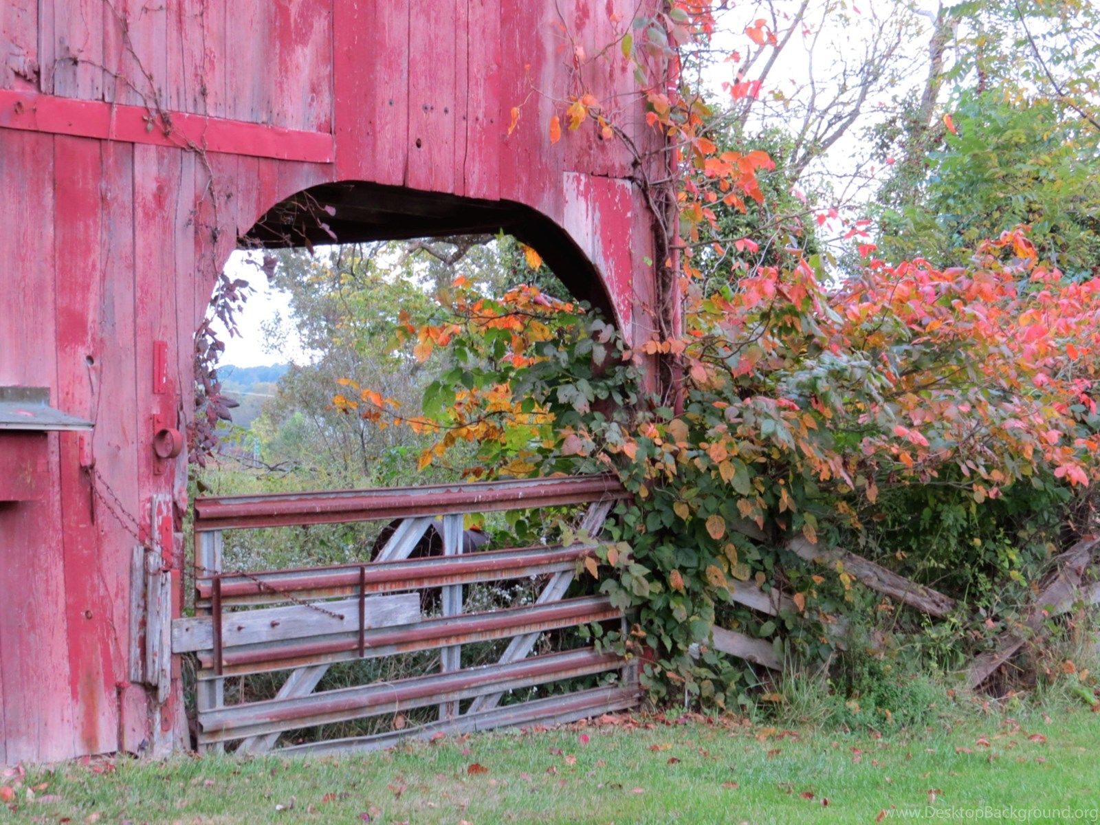 Red Barn Wallpapers - 4k, HD Red Barn Backgrounds on WallpaperBat