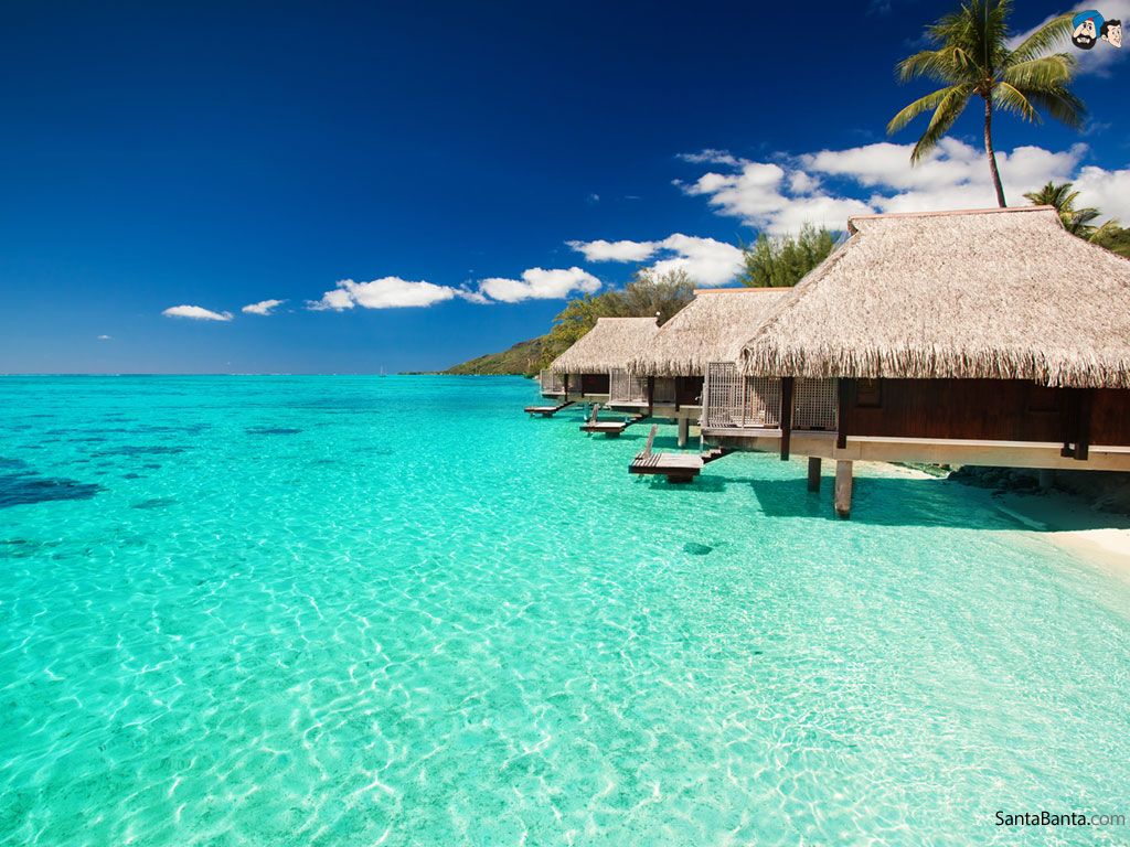 Tahiti Wallpapers 4k HD Tahiti Backgrounds On WallpaperBat