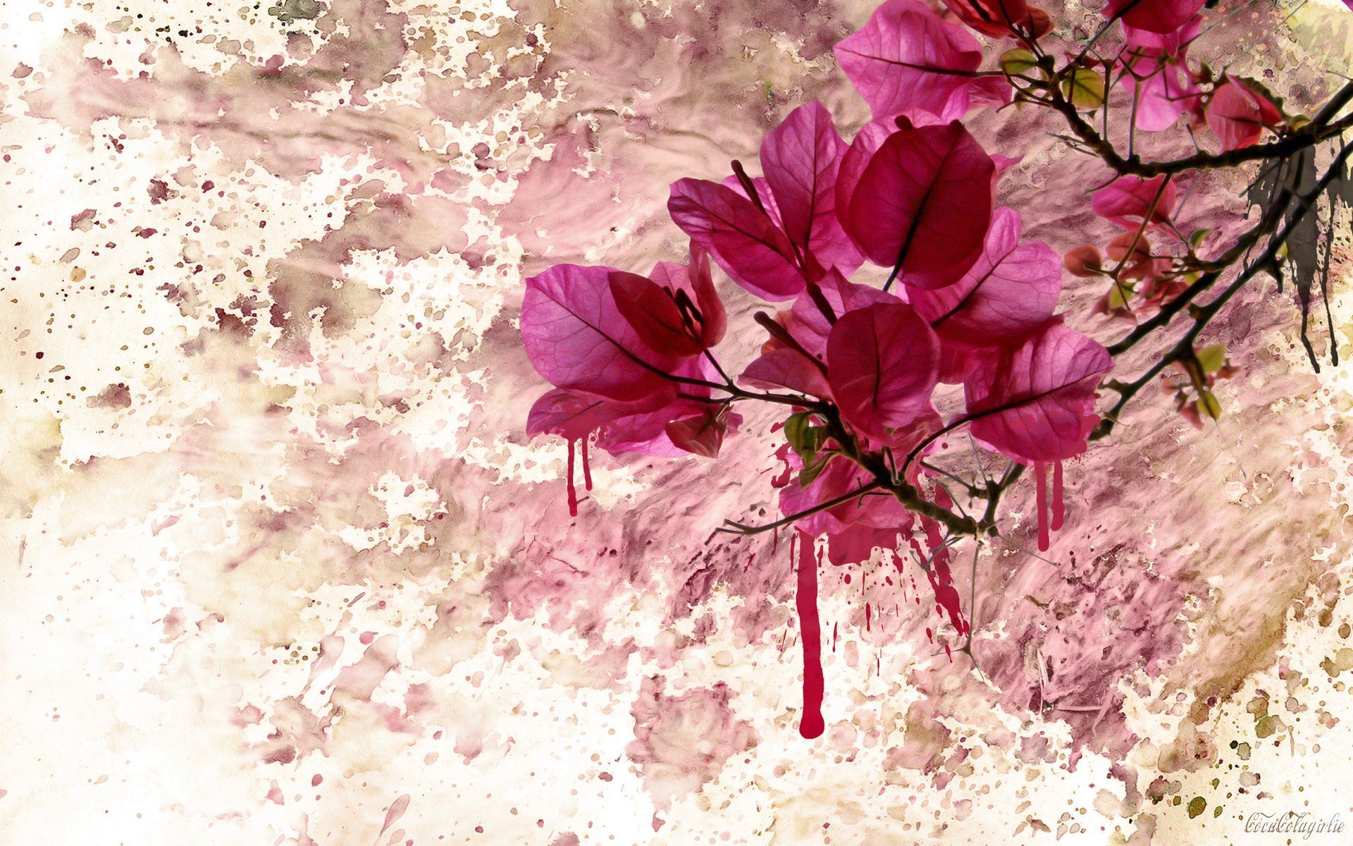 Flowers Art Wallpapers 4k Hd