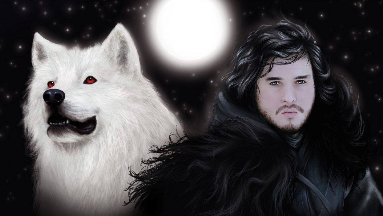 Game Of Thrones Wolf Wallpapers - 4k, Hd Game Of Thrones Wolf 