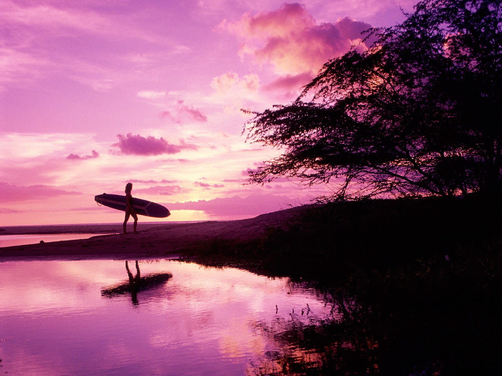 Hawaiian Surfing Wallpapers - 4k, HD Hawaiian Surfing Backgrounds On ...