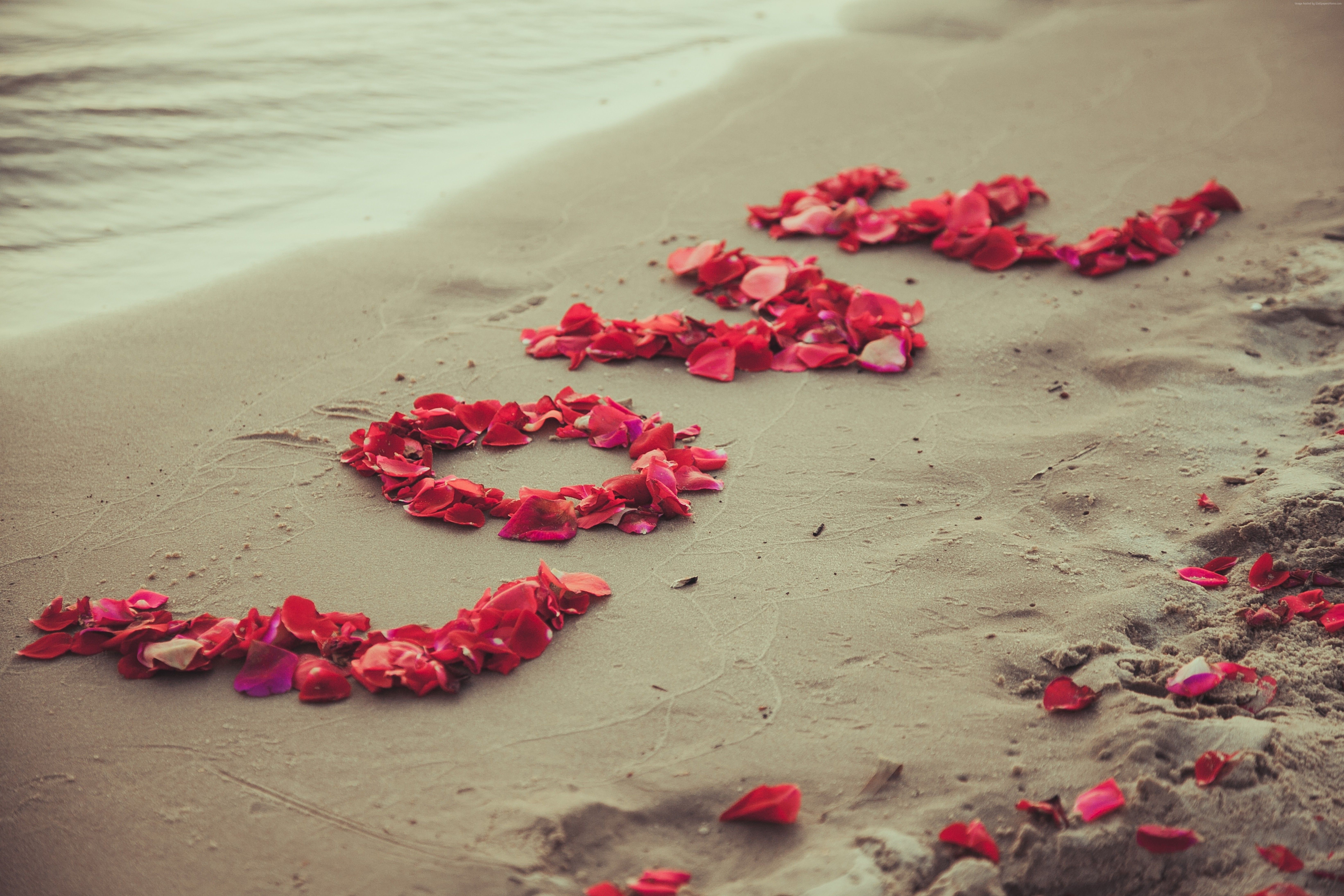 6564x4376 k, #beach, #sea, #love image, #heart, #flowers. Stock on WallpaperBat