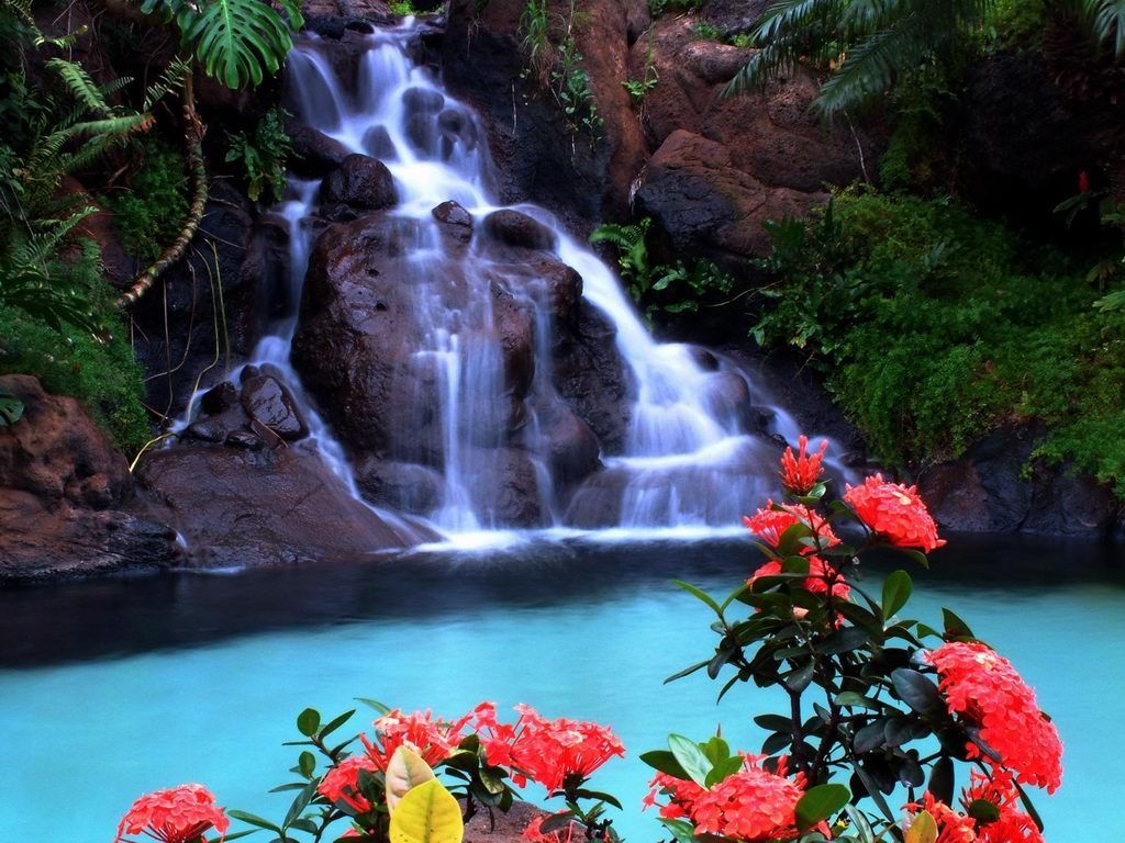 Tropical Island Waterfalls Wallpapers 4k Hd Tropical Island Waterfalls Backgrounds On Wallpaperbat