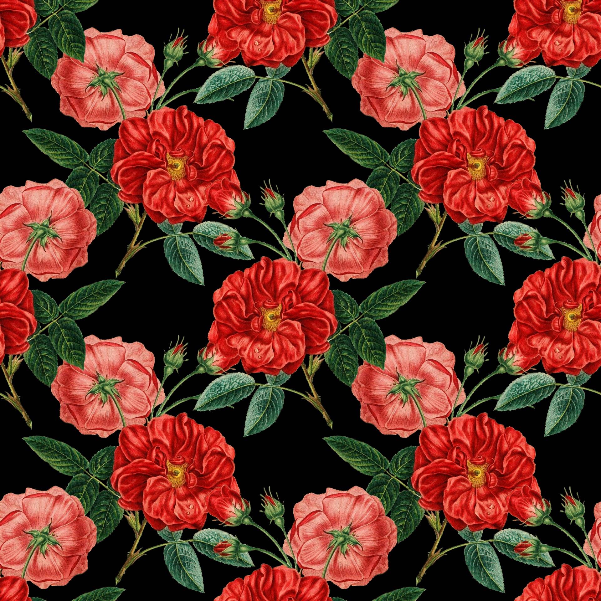 Red Rose Vintage Wallpapers - 4k, HD Red Rose Vintage Backgrounds on ...