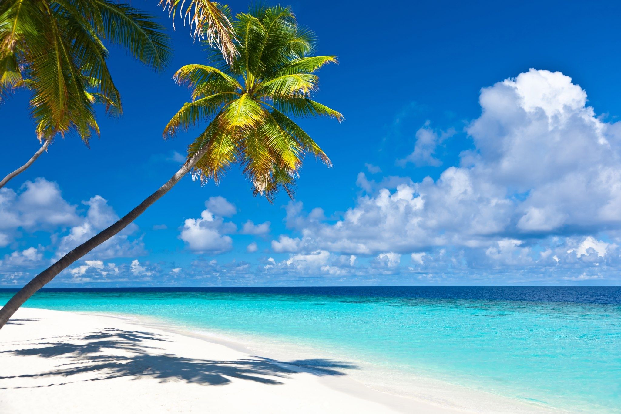 Caribbean Islands Wallpapers - 4k, HD Caribbean Islands Backgrounds on ...