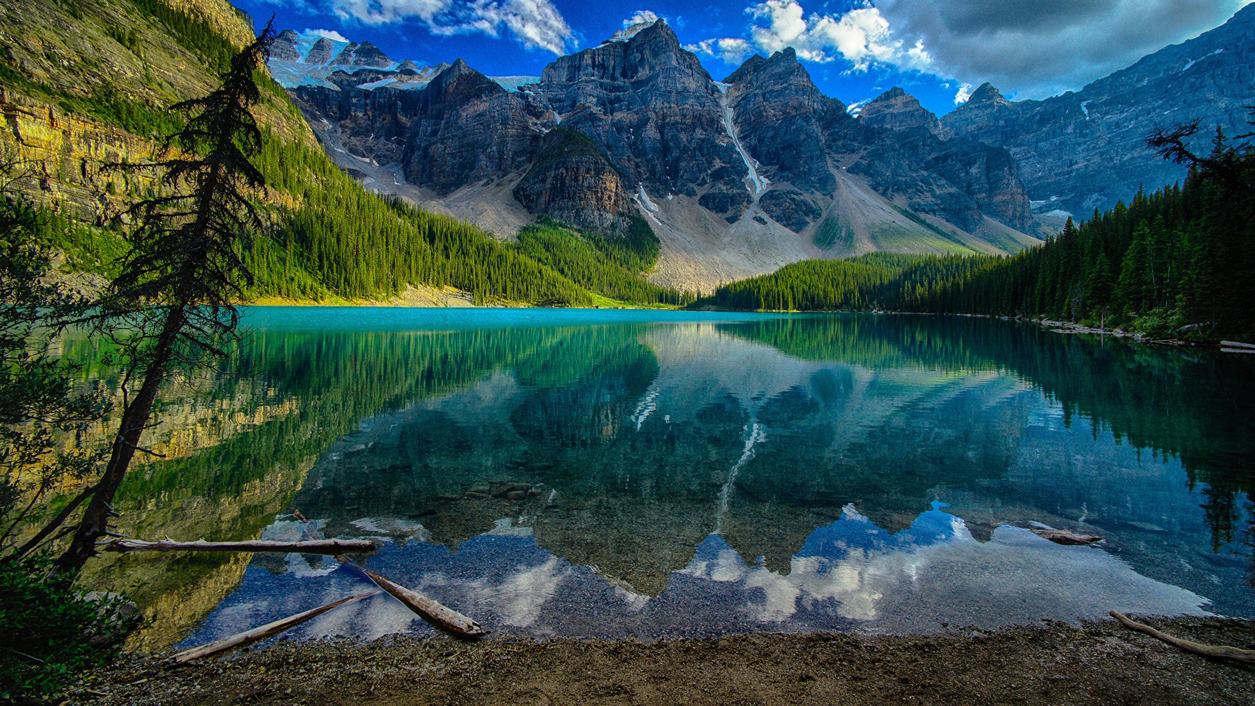 2560x1440 Nature Wallpapers 4k, HD 2560x1440 Nature Backgrounds on WallpaperBat
