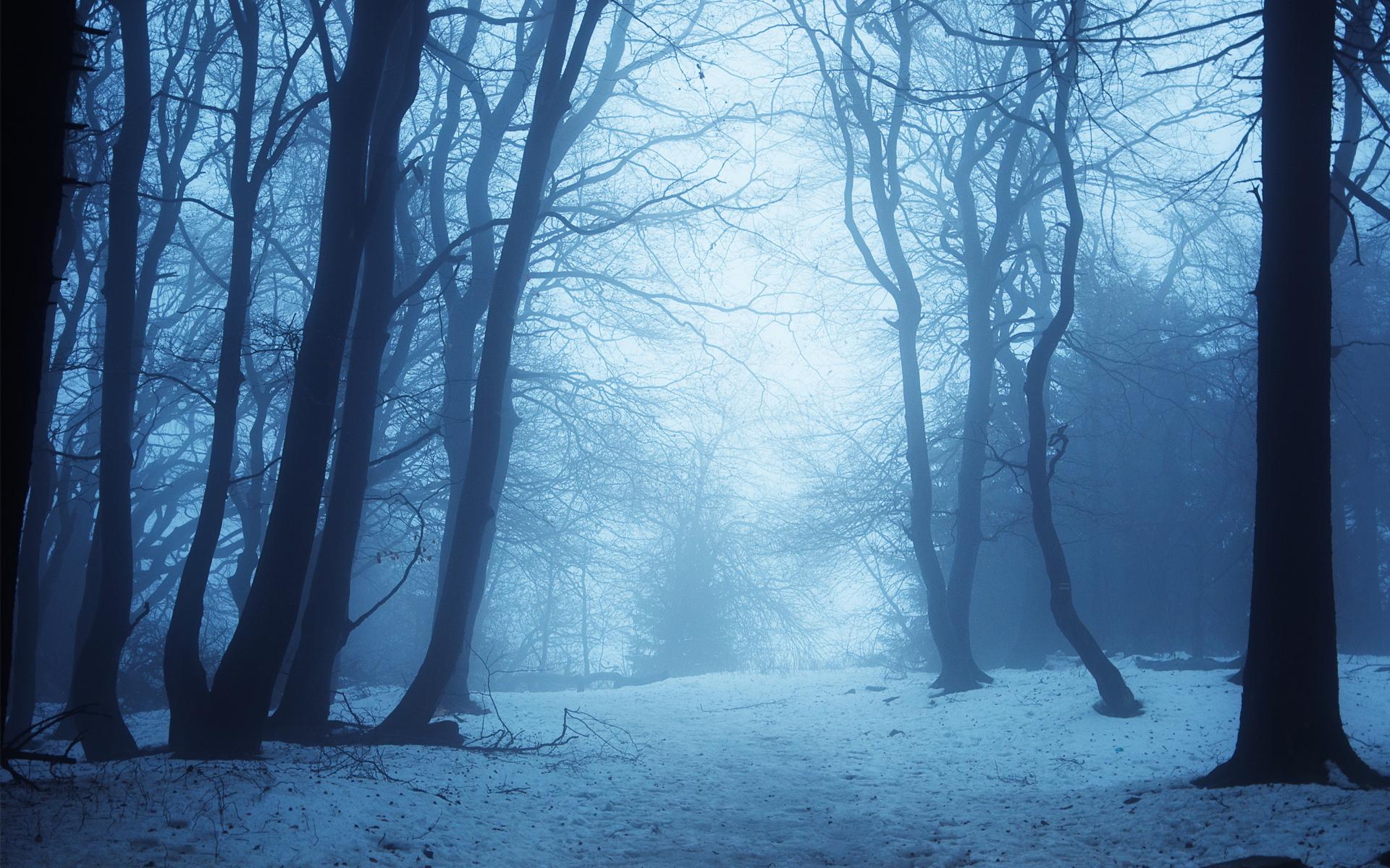 Gothic Winter Wallpapers - 4k, HD Gothic Winter Backgrounds on WallpaperBat