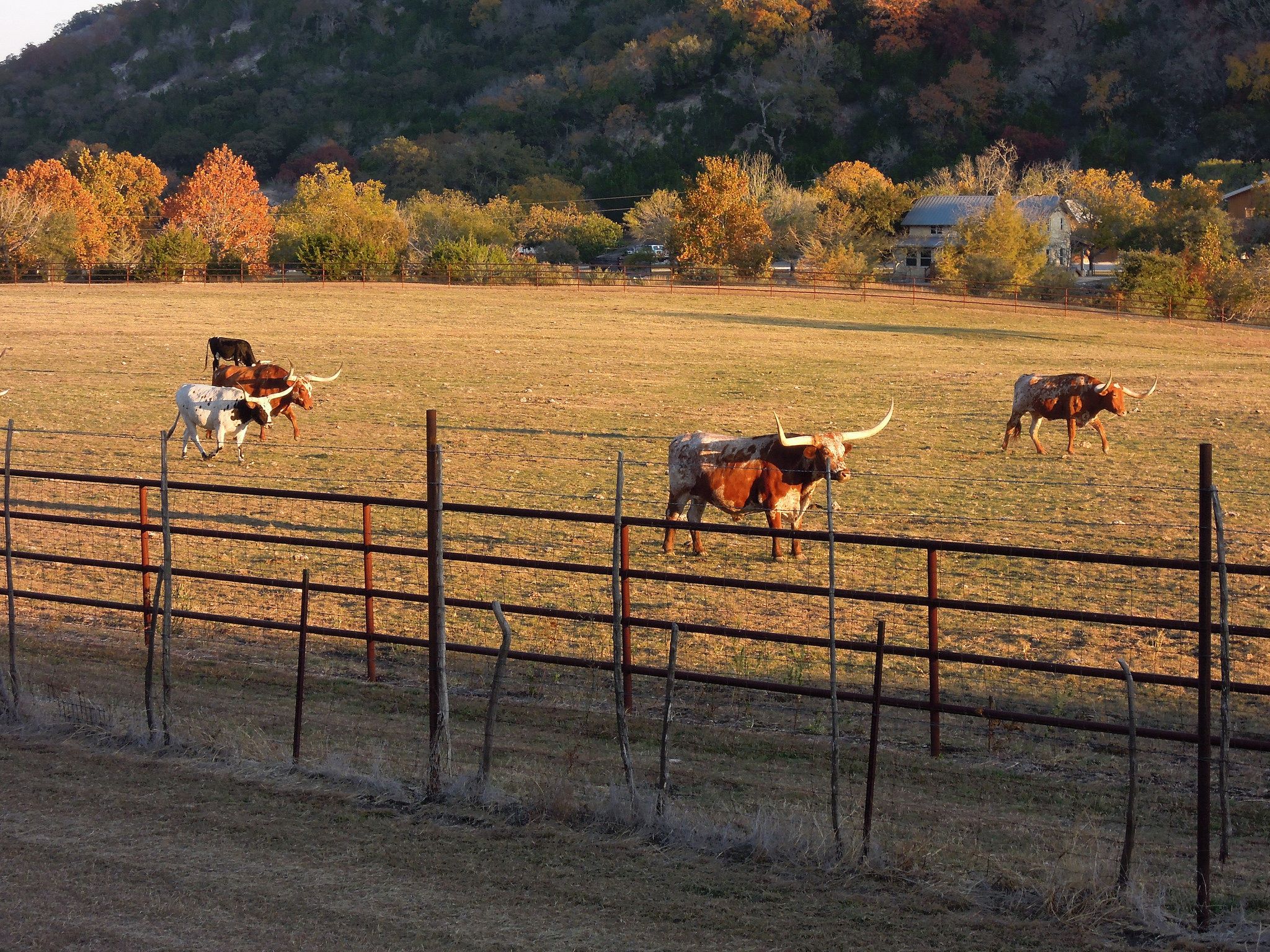 How To Work On A Ranch In America