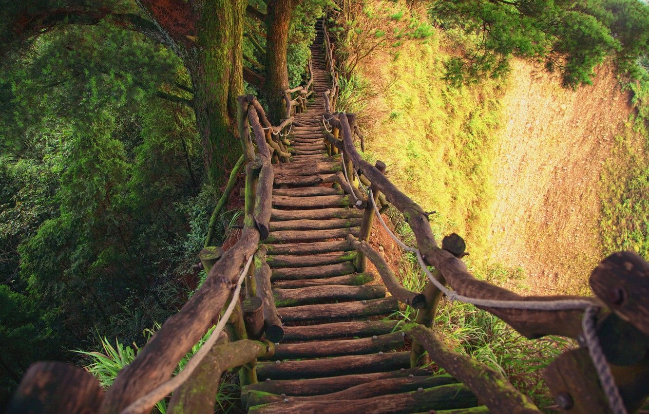 1332x850 Wallpaper forest, bridge, wooden, gorge, old images for desktop ... Wallpaper