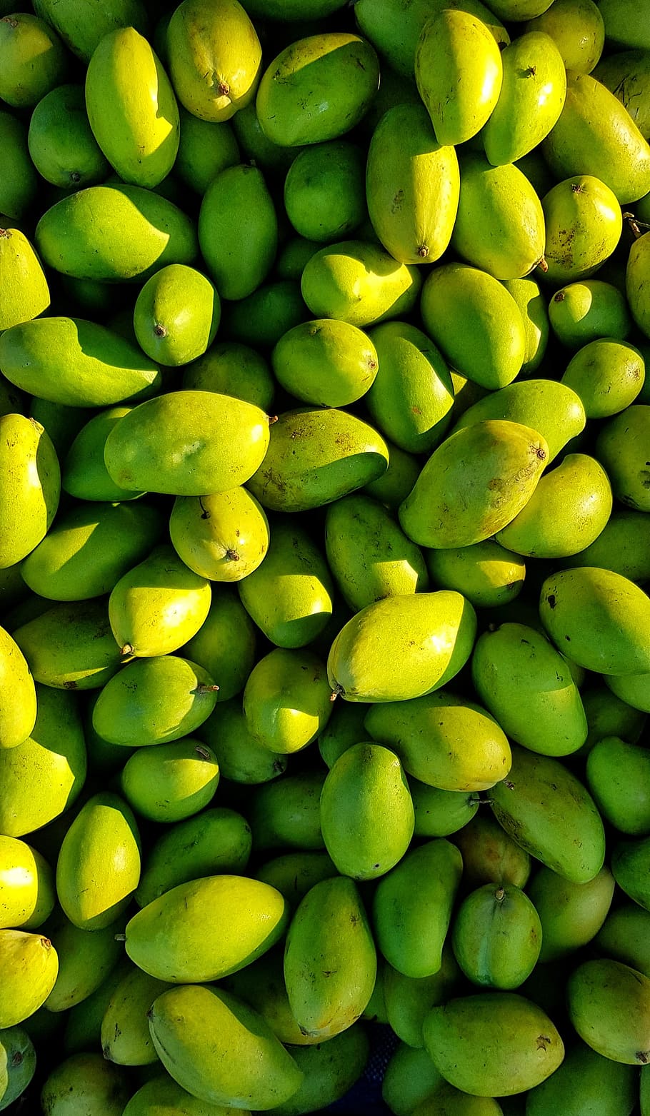 910x1563 HD wallpaper: green, fresh, picked, <b>mango</b>, bitter, batch, food on ...