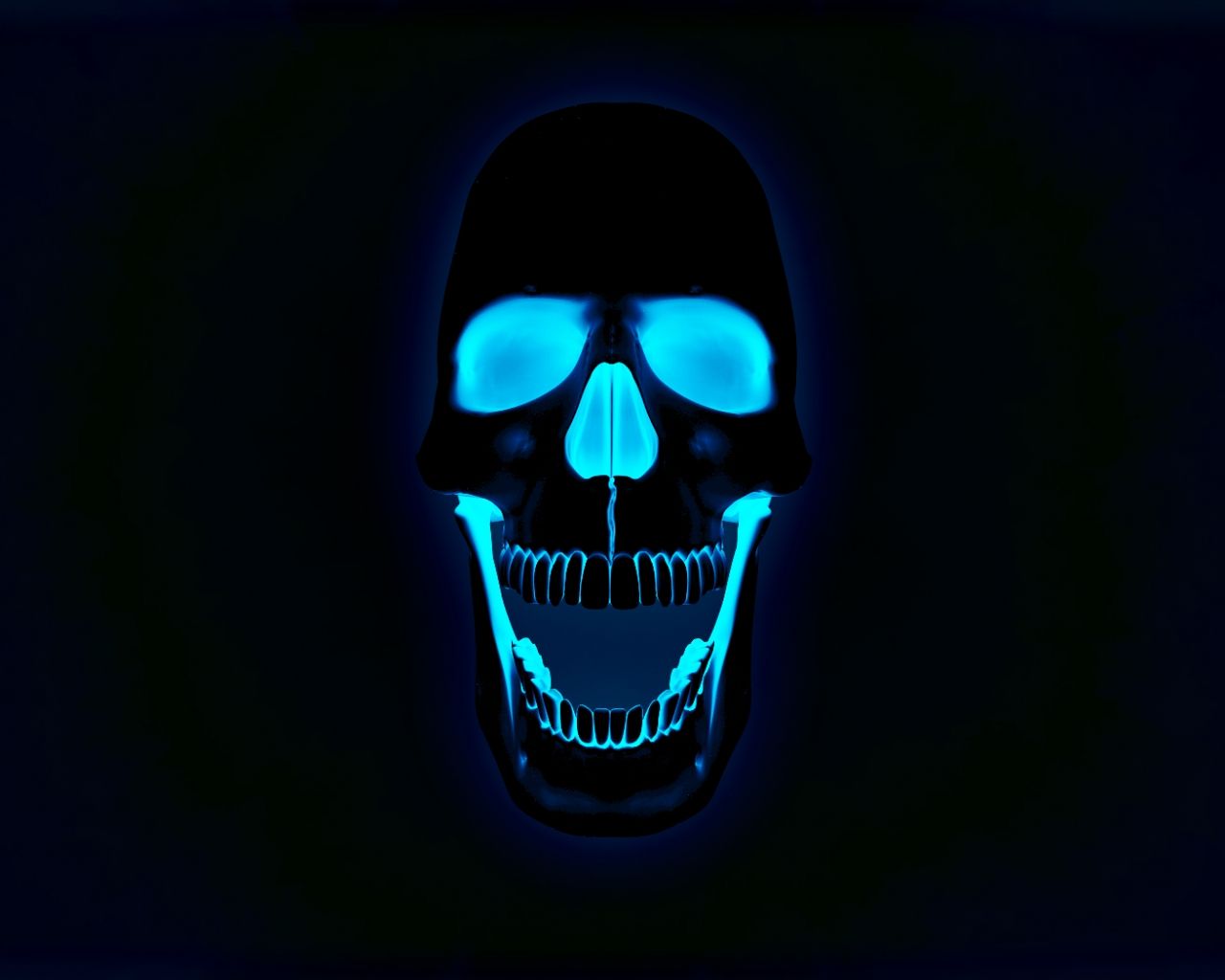 Skull Wallpapers - 4k, HD Skull Backgrounds on WallpaperBat