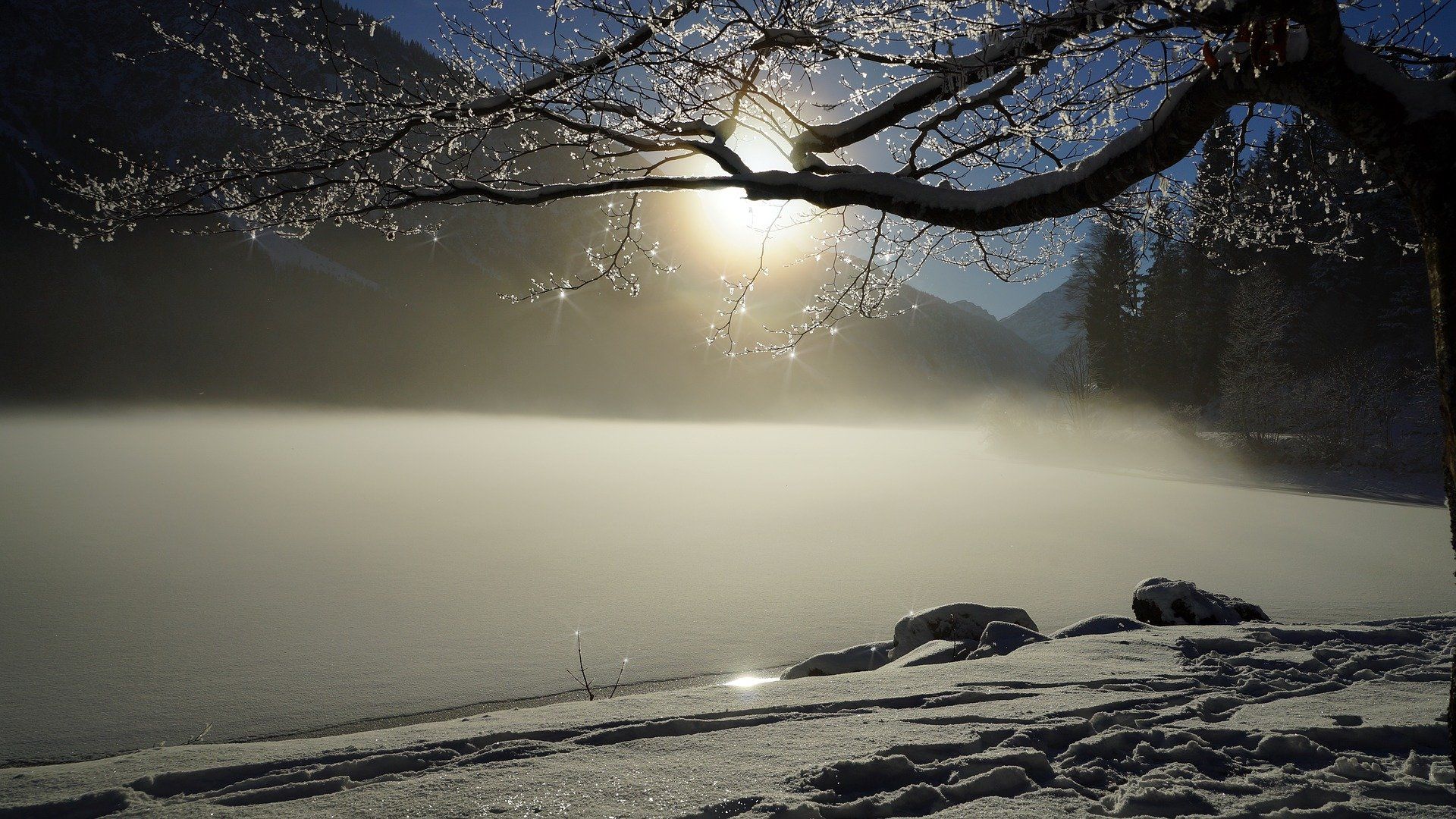 Lake me. Ночь туман на замерзшем озере. Обои на рабочий стол лес в тумане. Cold Fog. Fog in Frozen.