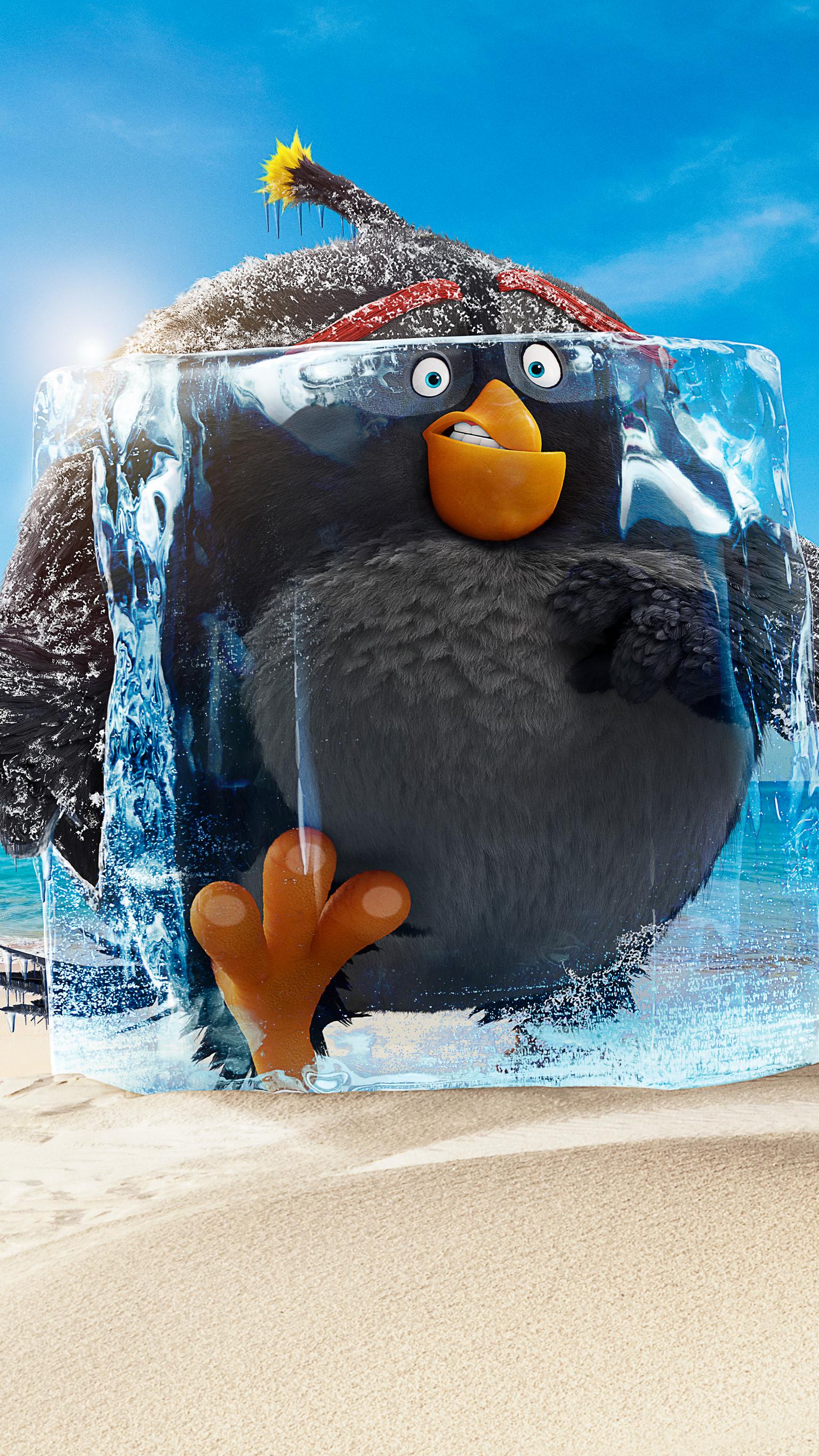The Birds Movie Wallpapers 4k HD The Birds Movie Backgrounds on The Birds Movie Wallpapers 4k HD The Birds Movie Backgrounds on