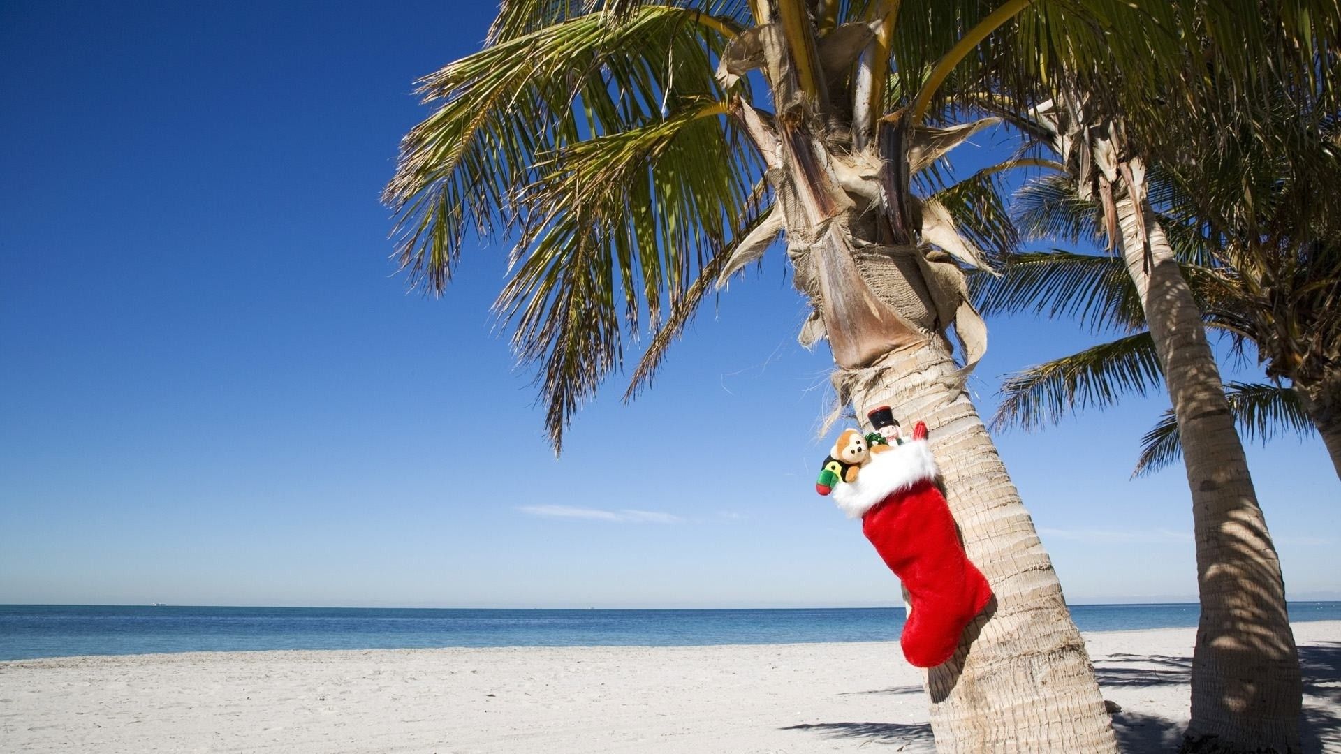 Beach Christmas Wallpapers - 4k, HD Beach Christmas Backgrounds on ...