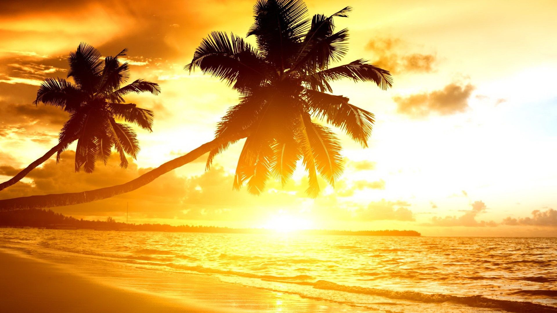 Bright Sunrise Wallpapers - 4k, HD Bright Sunrise Backgrounds on ...