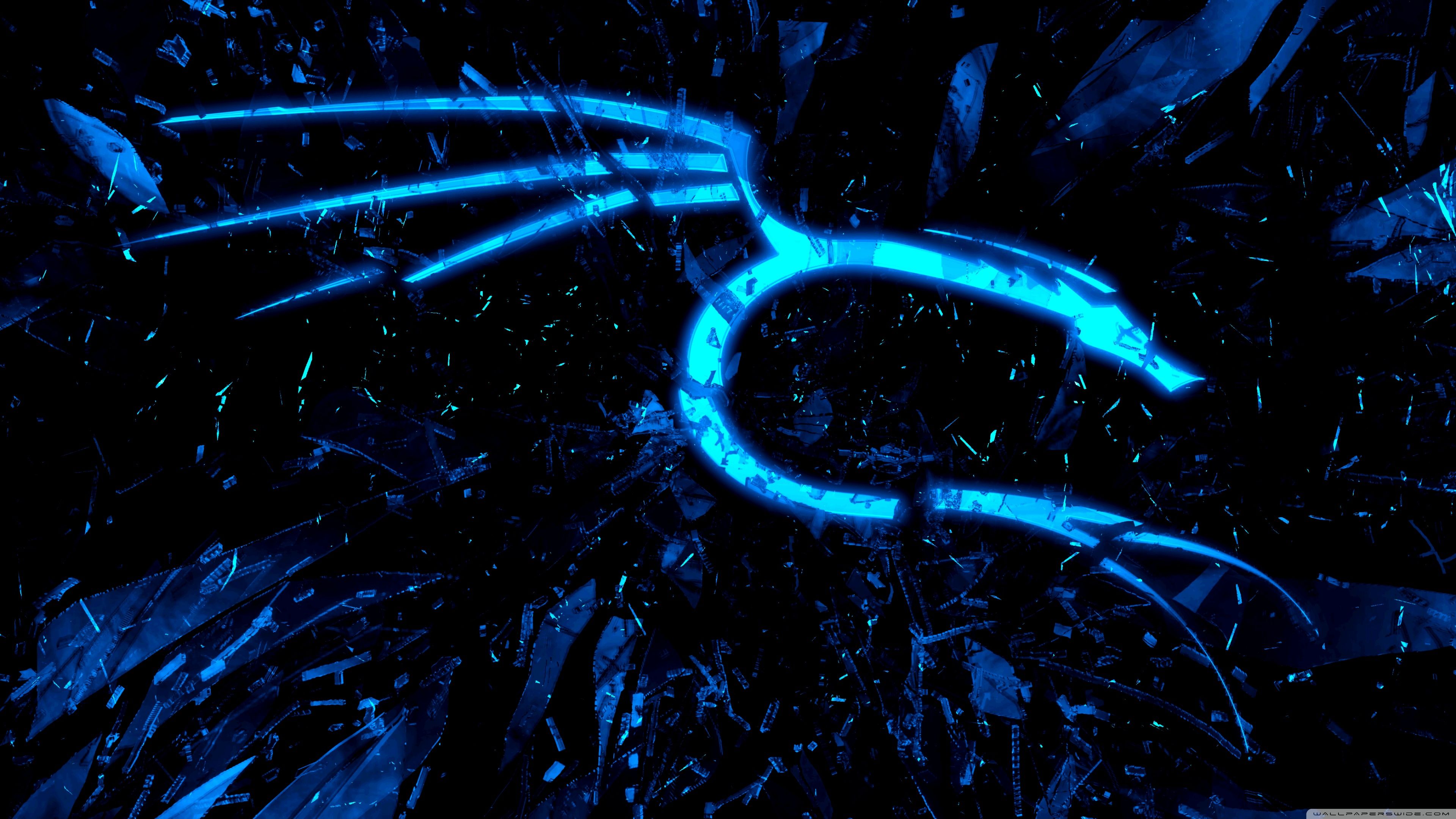 Kali wallpaper