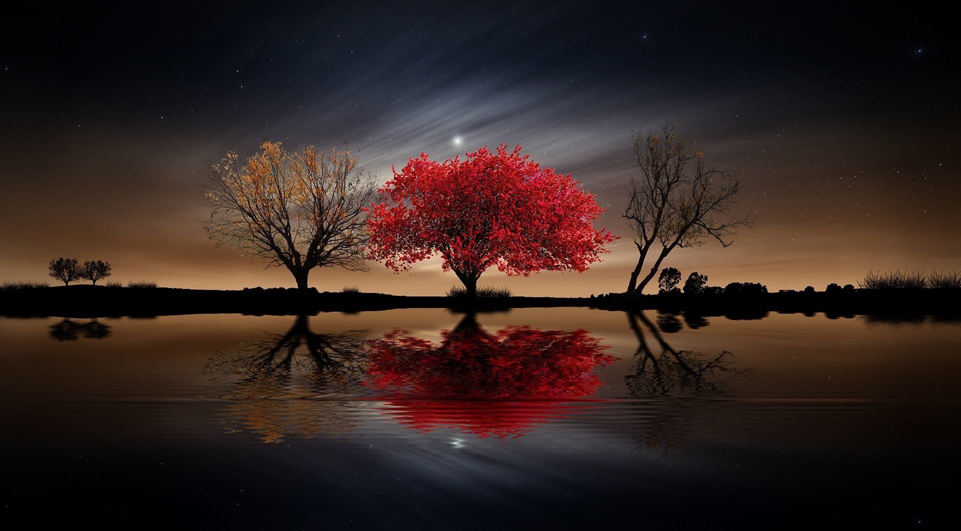 Red Tree Wallpapers - 4k, HD Red Tree Backgrounds on WallpaperBat