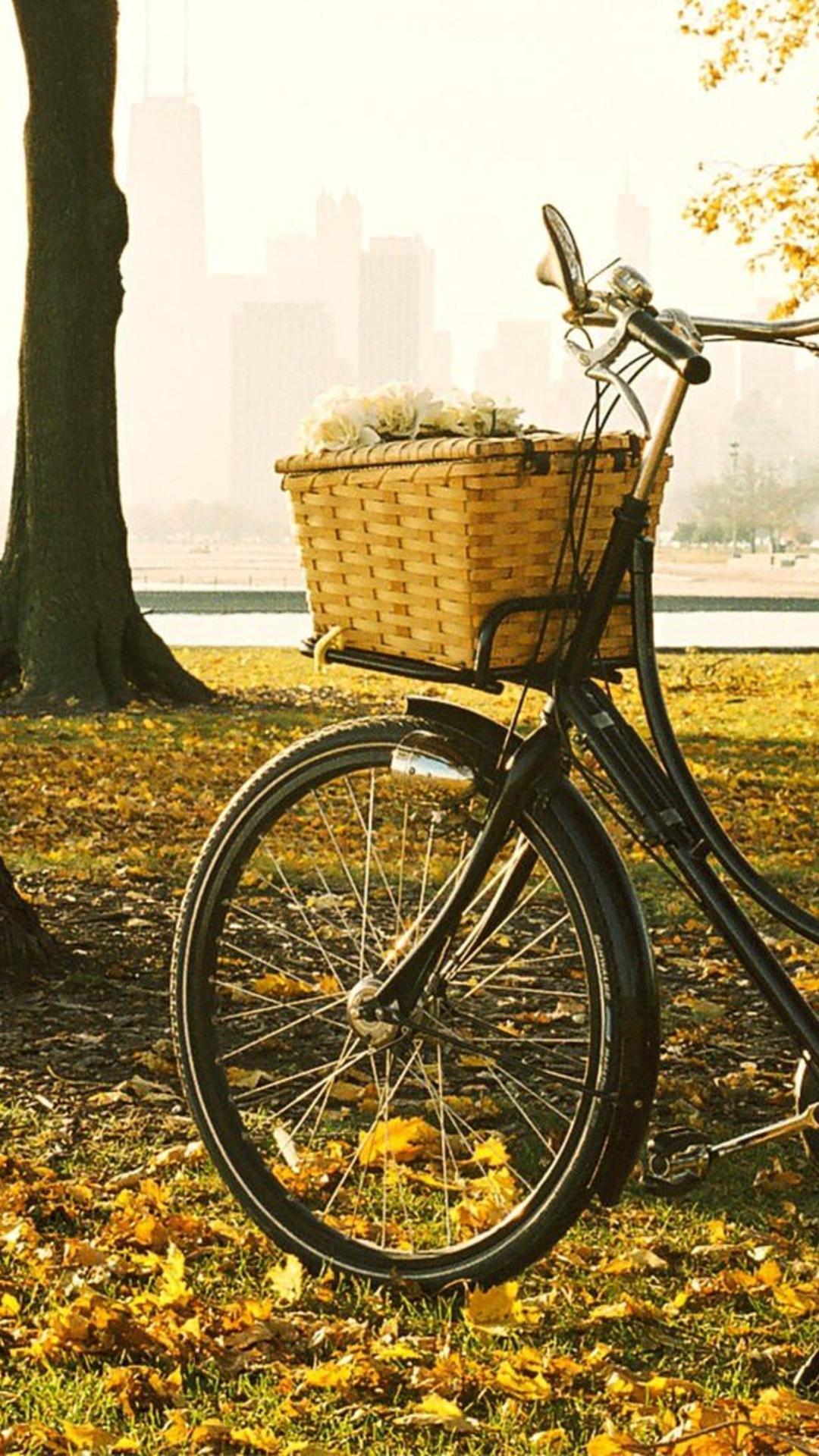 Cute Bicycle Wallpapers - 4k, HD Cute Bicycle Backgrounds on WallpaperBat