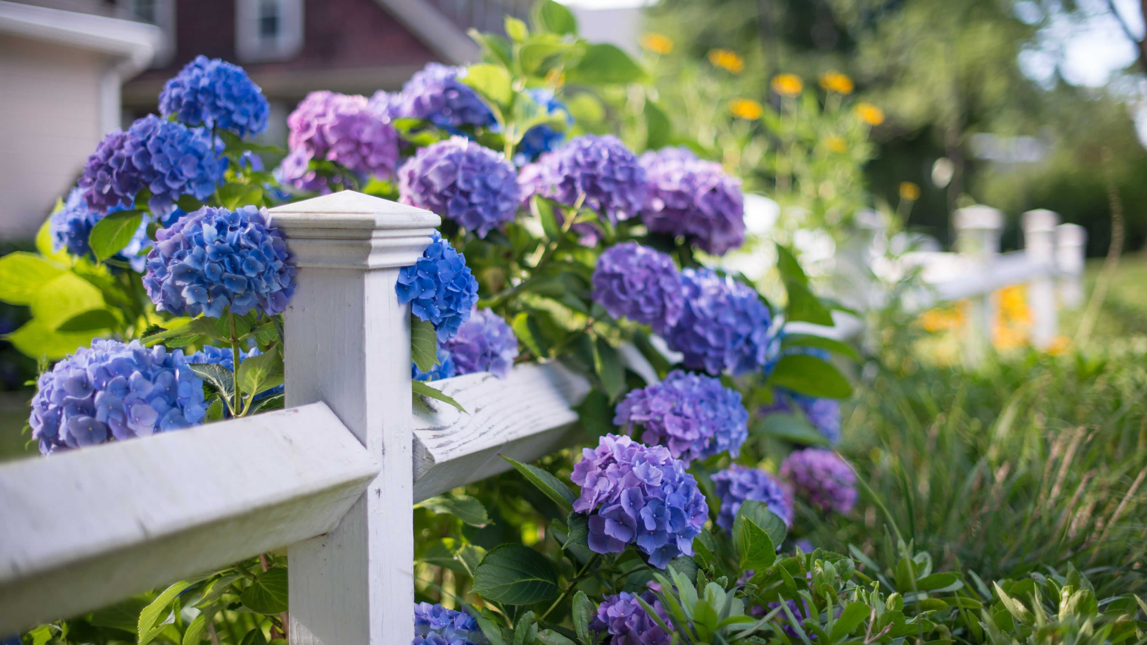 Spring flower porch wallpapers 4k hd spring flower porch backgrounds