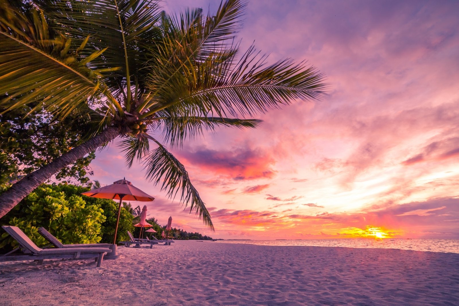 Sunset Background Wallpaper Beach / Tropical Beach Sunset Wallpapers Top Free Tropical Beach