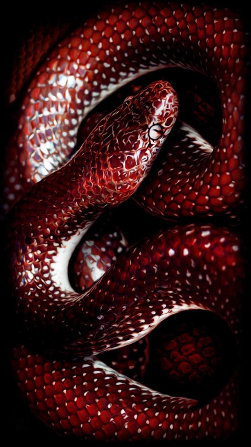 Neon Snake Wallpapers - 4k, HD Neon Snake Backgrounds on WallpaperBat